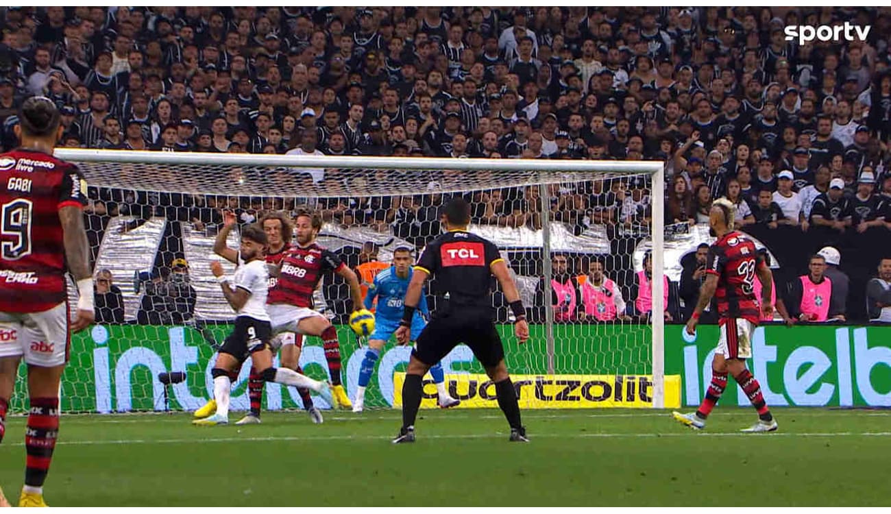 Foto mostra lance de Capasso que originou o pênalti do Flamengo