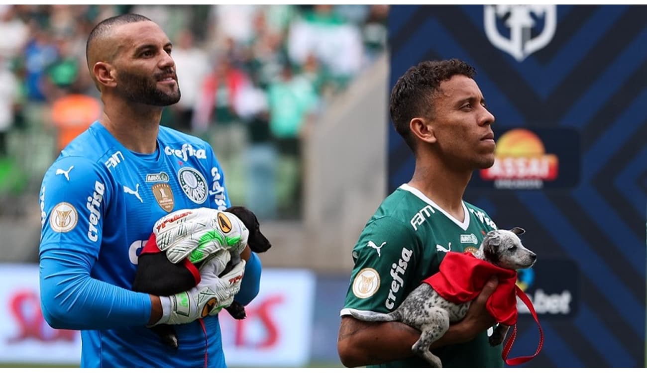 Com ótima atuação, Weverton completa 10 jogos sem sofrer gols no Paulista –  Palmeiras