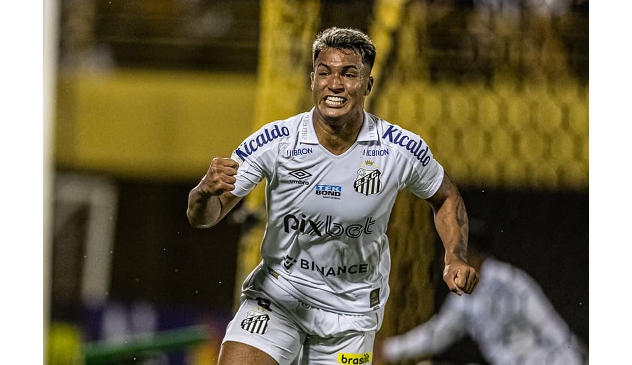 Santos 1 x 2 Fortaleza: veja lances do jogo que rebaixou o Peixe à