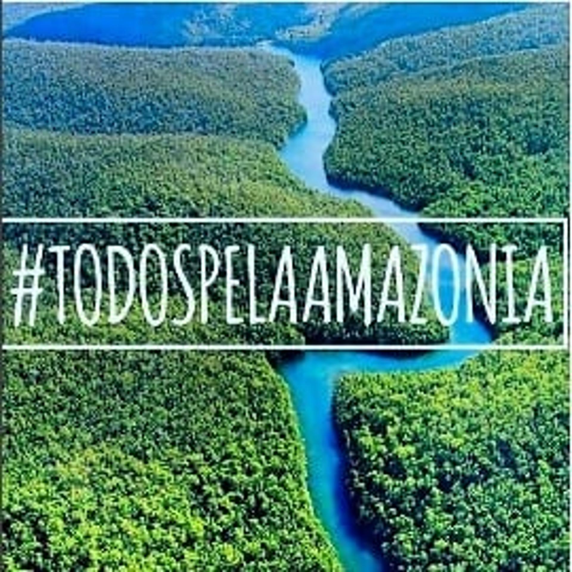 Em carta publicada no Instagram, Daniel Alves pede pela Amazônia