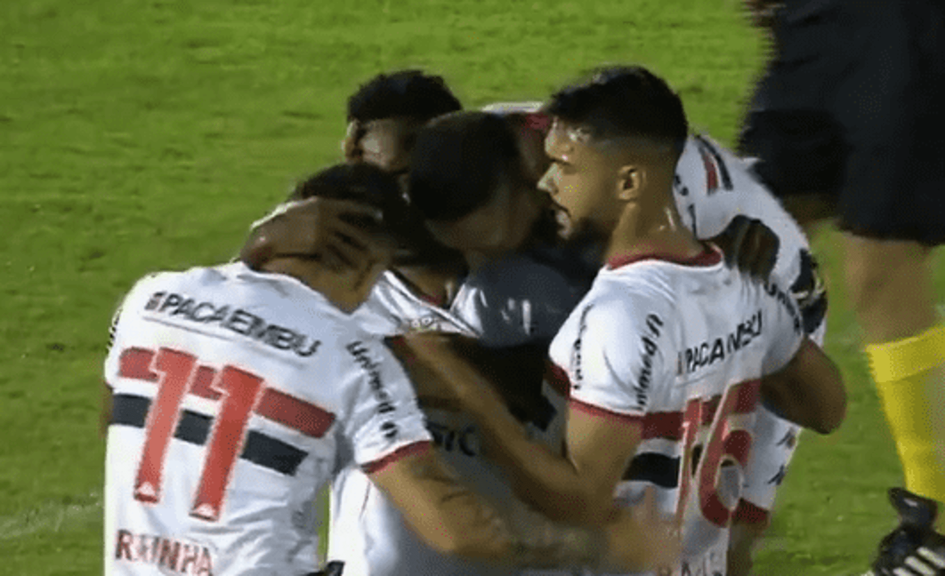 Jogadores do Botafogo-SP comemoram gol na Série B
