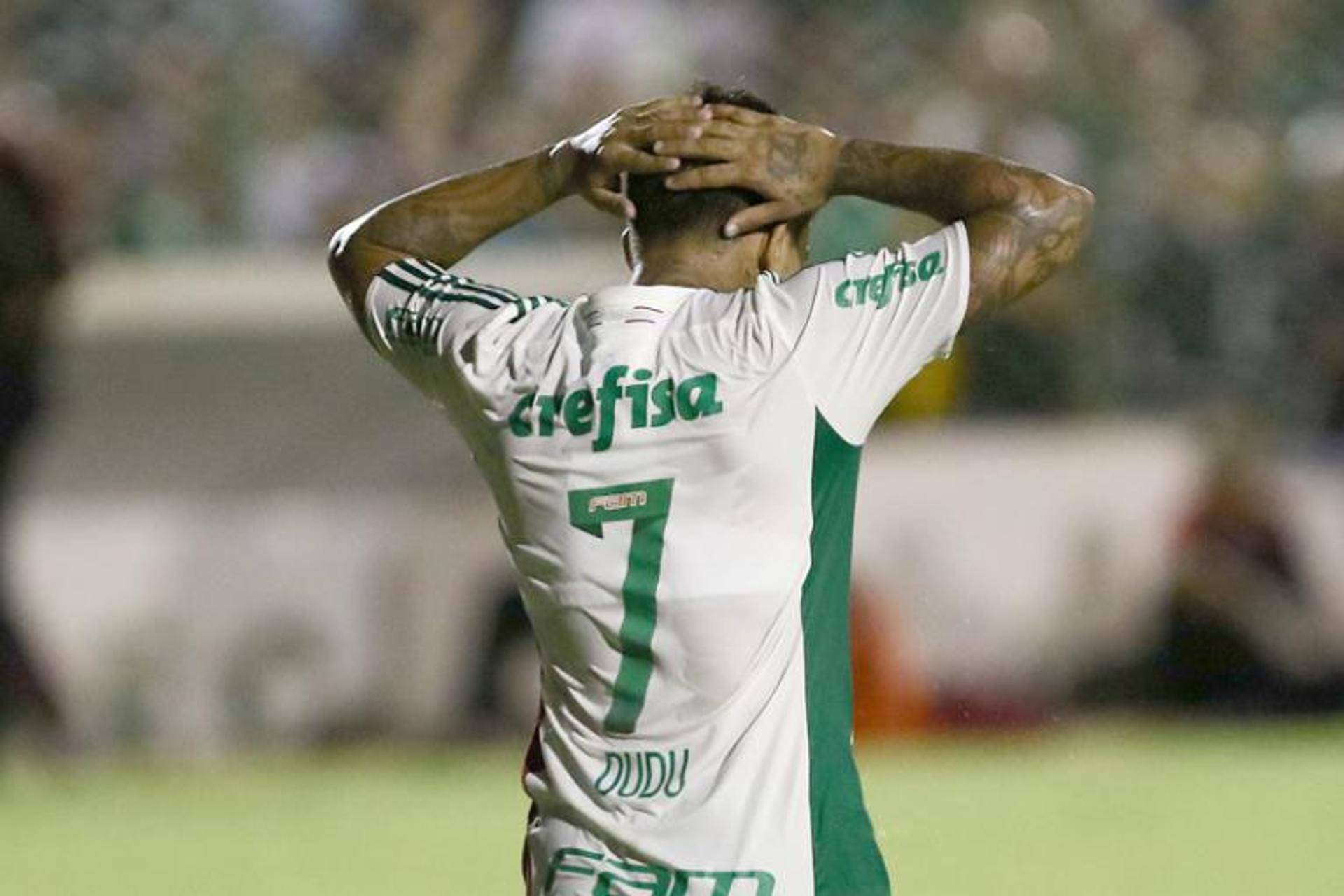 Dudu - Palmeiras