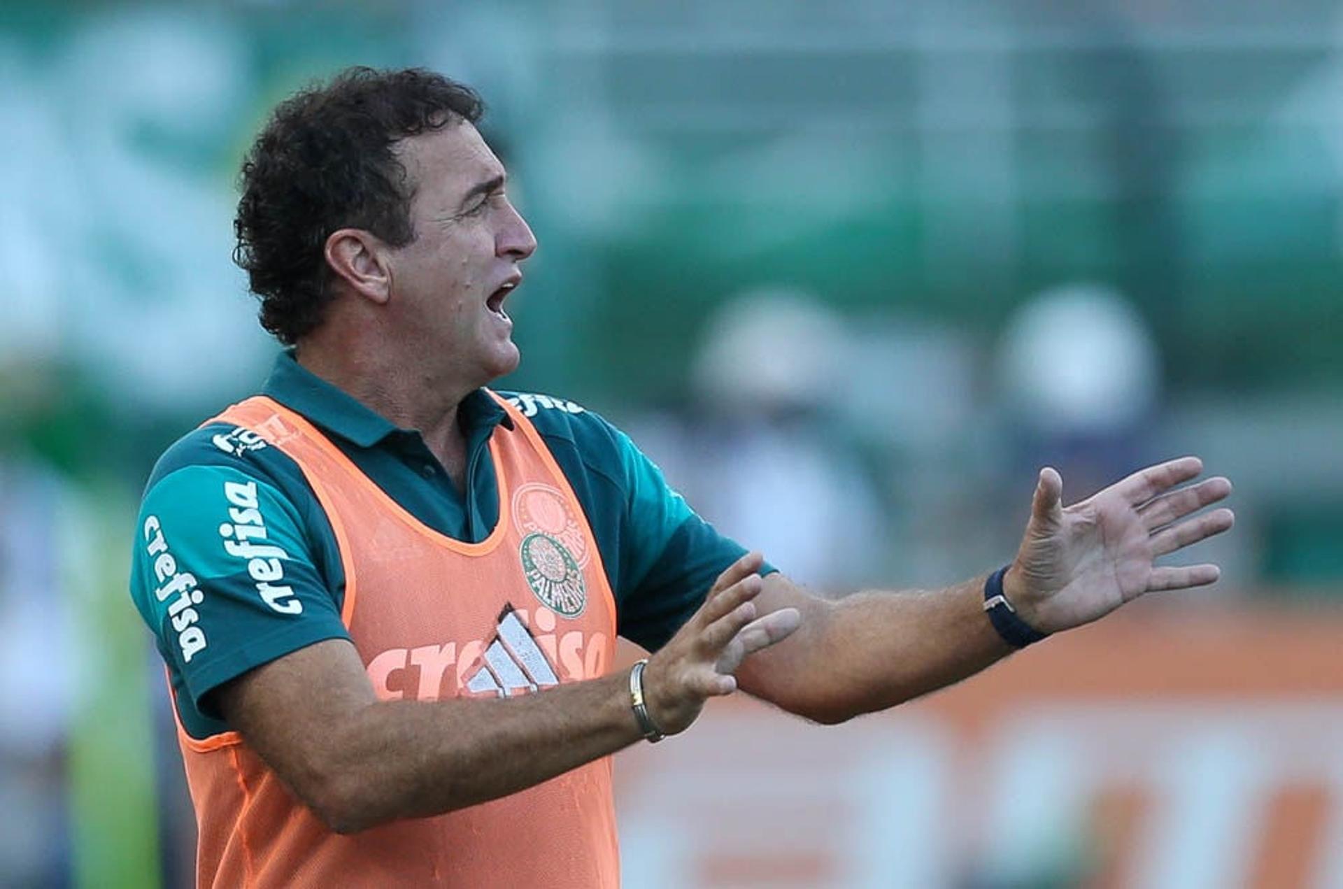 Palmeiras