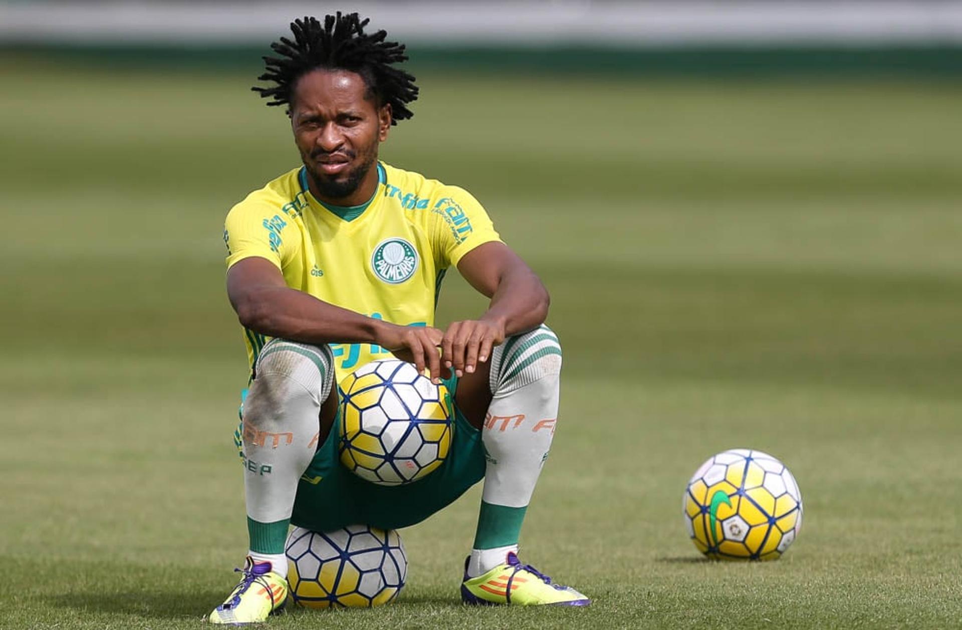 Zé Roberto (FOTO: Cesar Greco/Palmeiras)