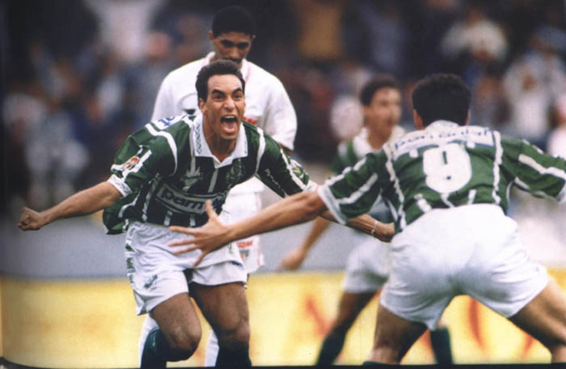 Defendeu o Palmeiras entre 1993 e 1995, e fez parte, assim, da geração bicampeã do Campeonato Paulista e do Campeonato Brasileiro. Tornou-se ídolo do Verdão, onde ganhou o apelido de 'Animal', e retornou à equipe no fim da carreira, mas também foi relevante.