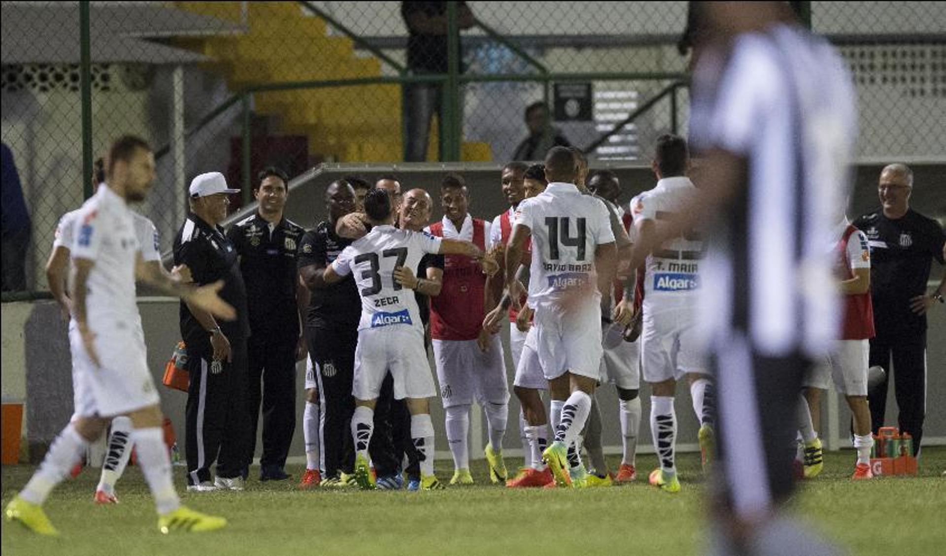 Botafogo x Palmeiras