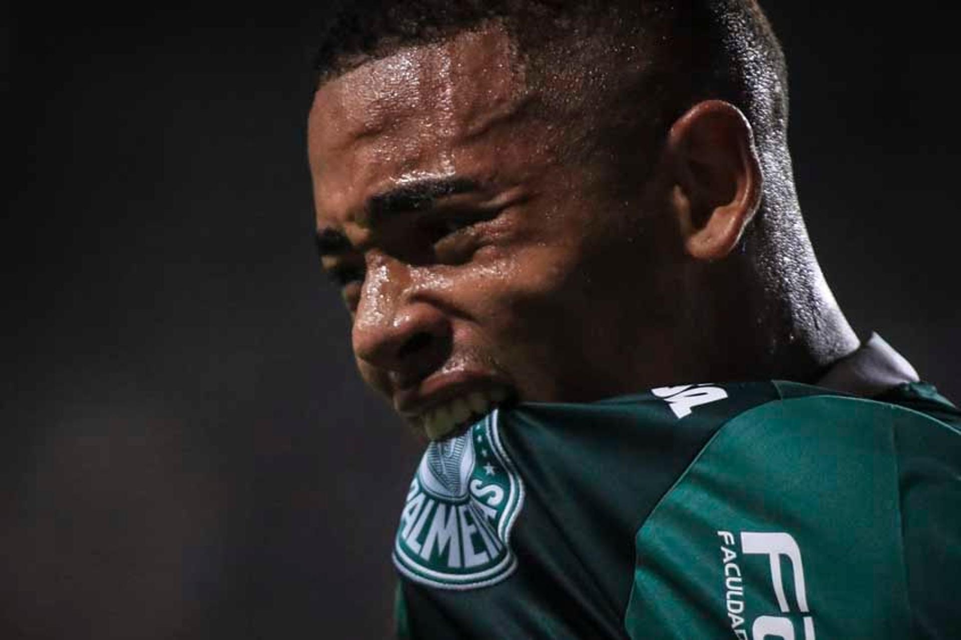 Gabriel Jesus, artilheiro do campeão brasileiro de 2016