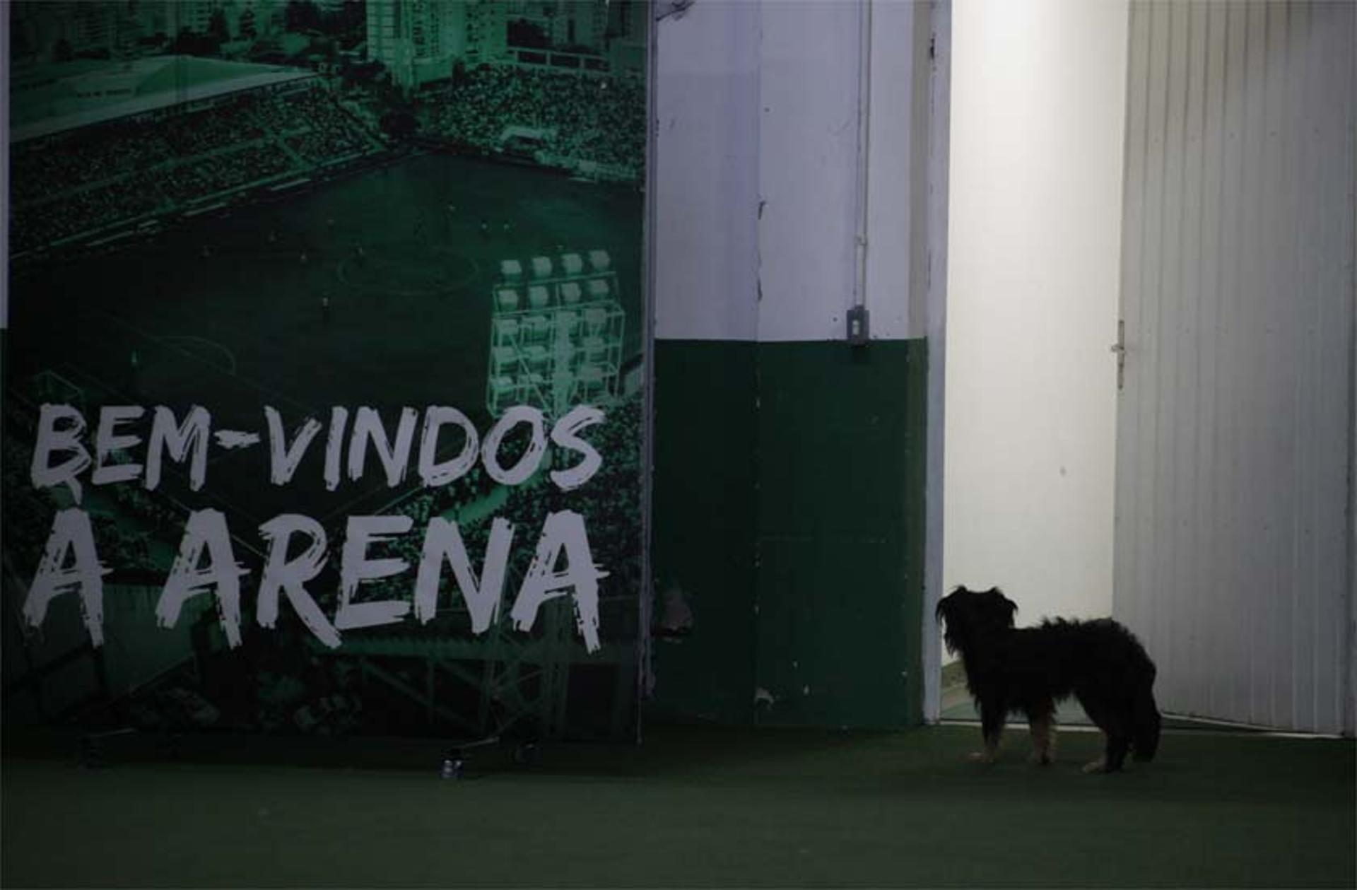 Além de homenagens à Chapecoense, equipe catarinense viu sua ausência sentida no WO duplo contra o Galo