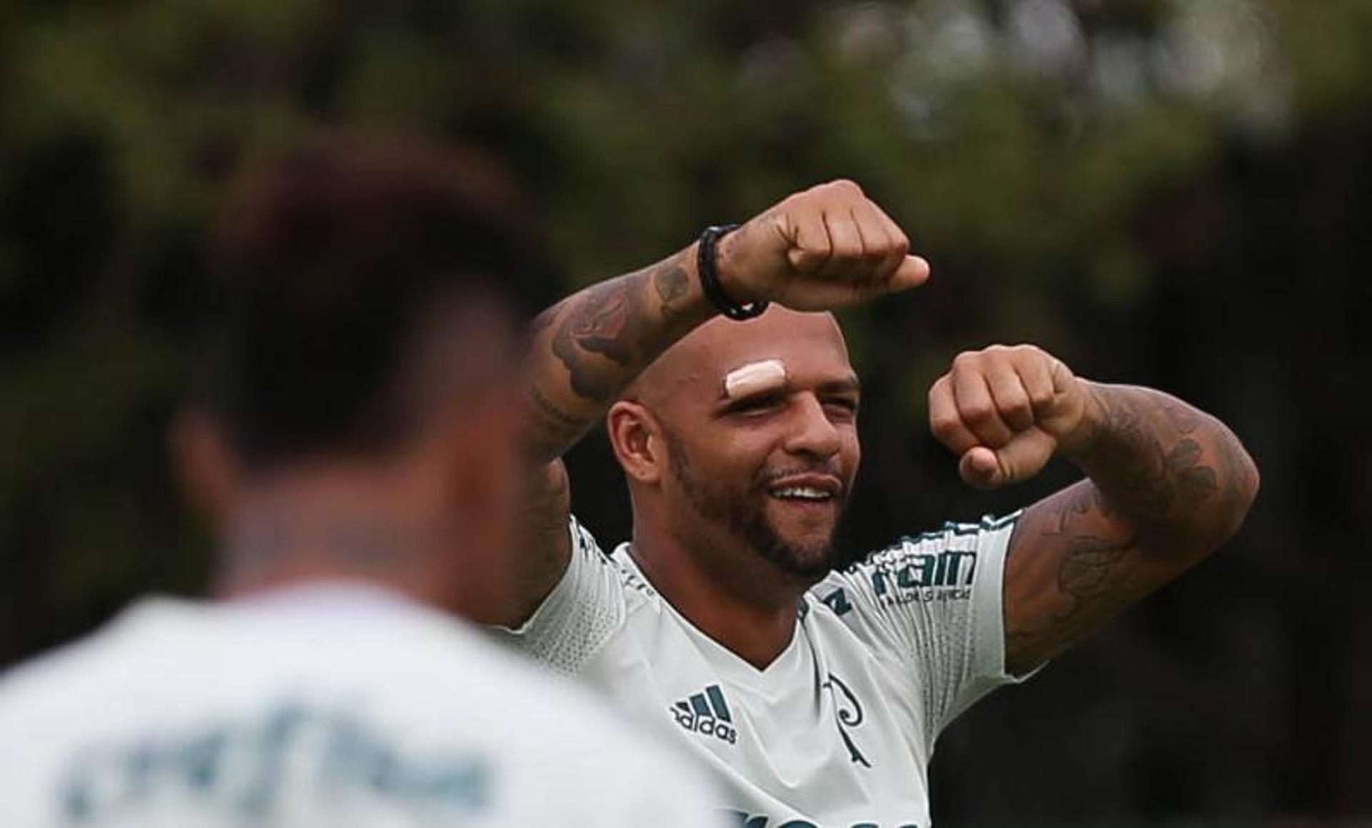 Felipe Melo volta ao Palmeiras