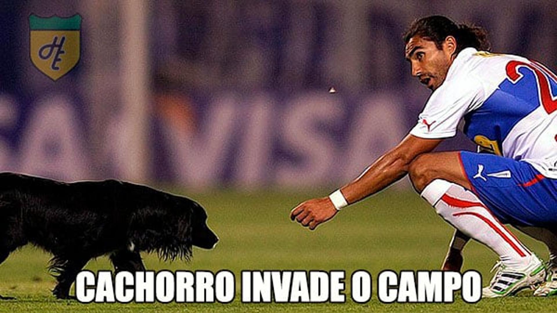 Na Libertadores cachorro invade o campo. E quem não ama cachorros?