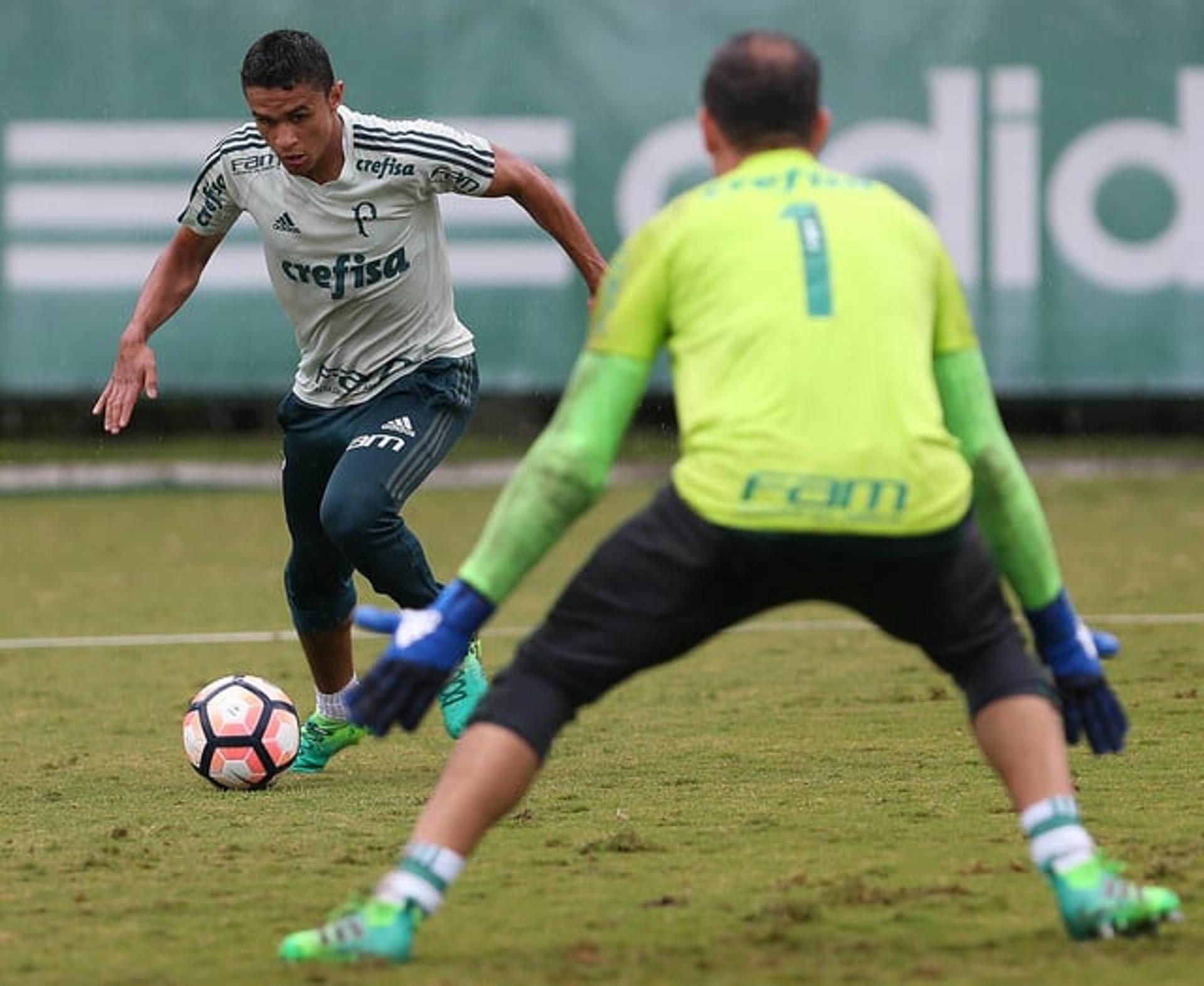 Erik disputou apenas seis jogos em 2017 - Foto: Cesar Greco/Palmeiras