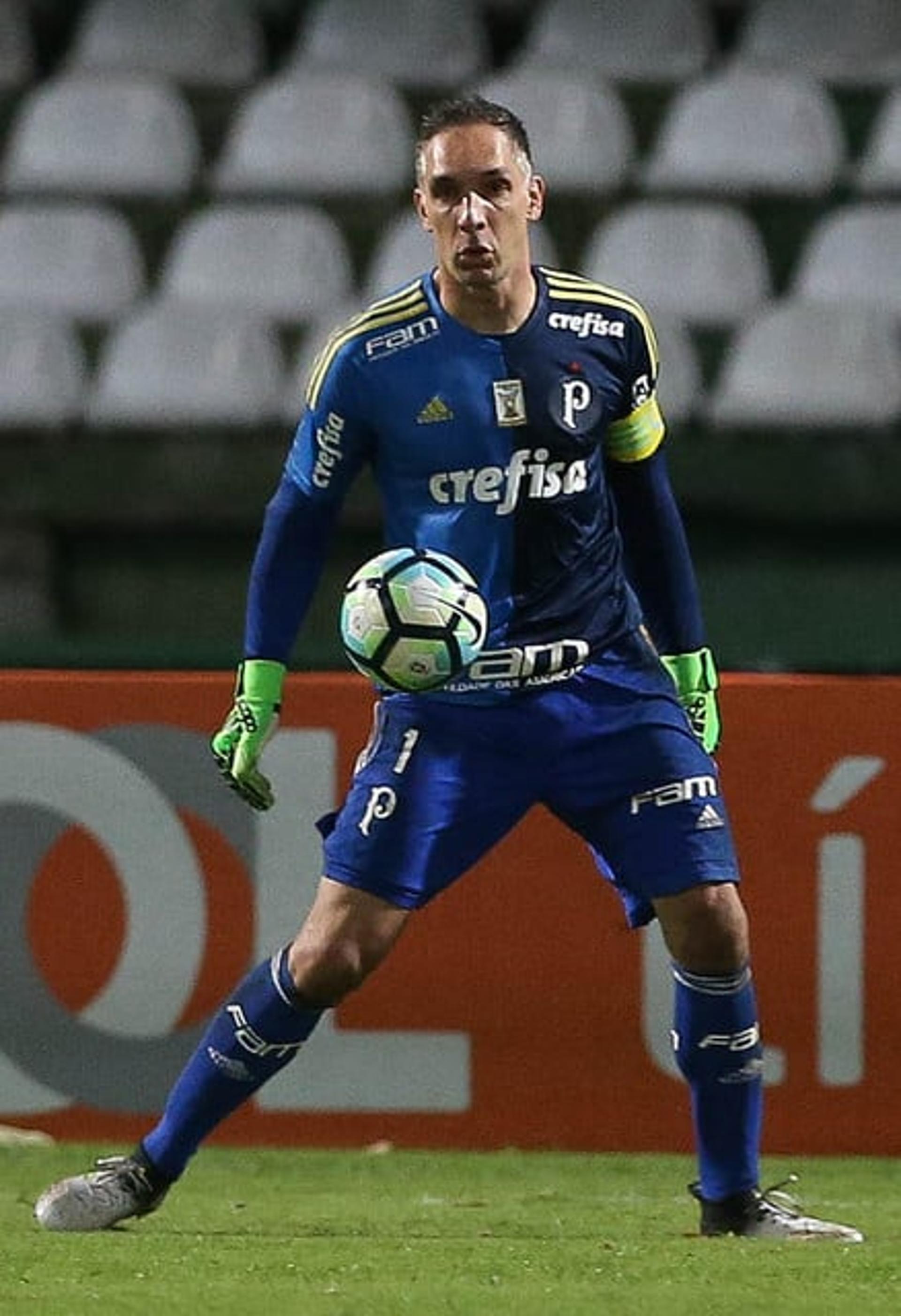 Fernando Prass durante o jogo no Couto Pereira (Foto: Cesar Greco/Palmeiras)