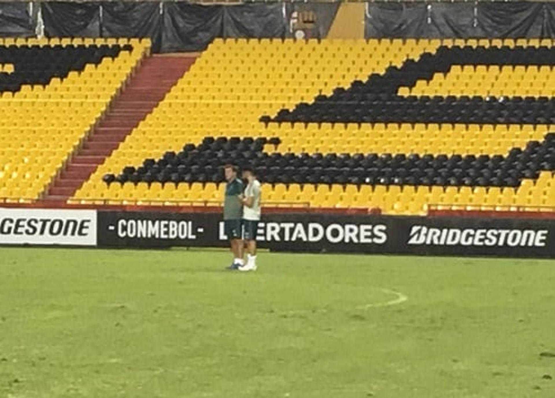 Palmeiras faz último treino no estádio Monumental