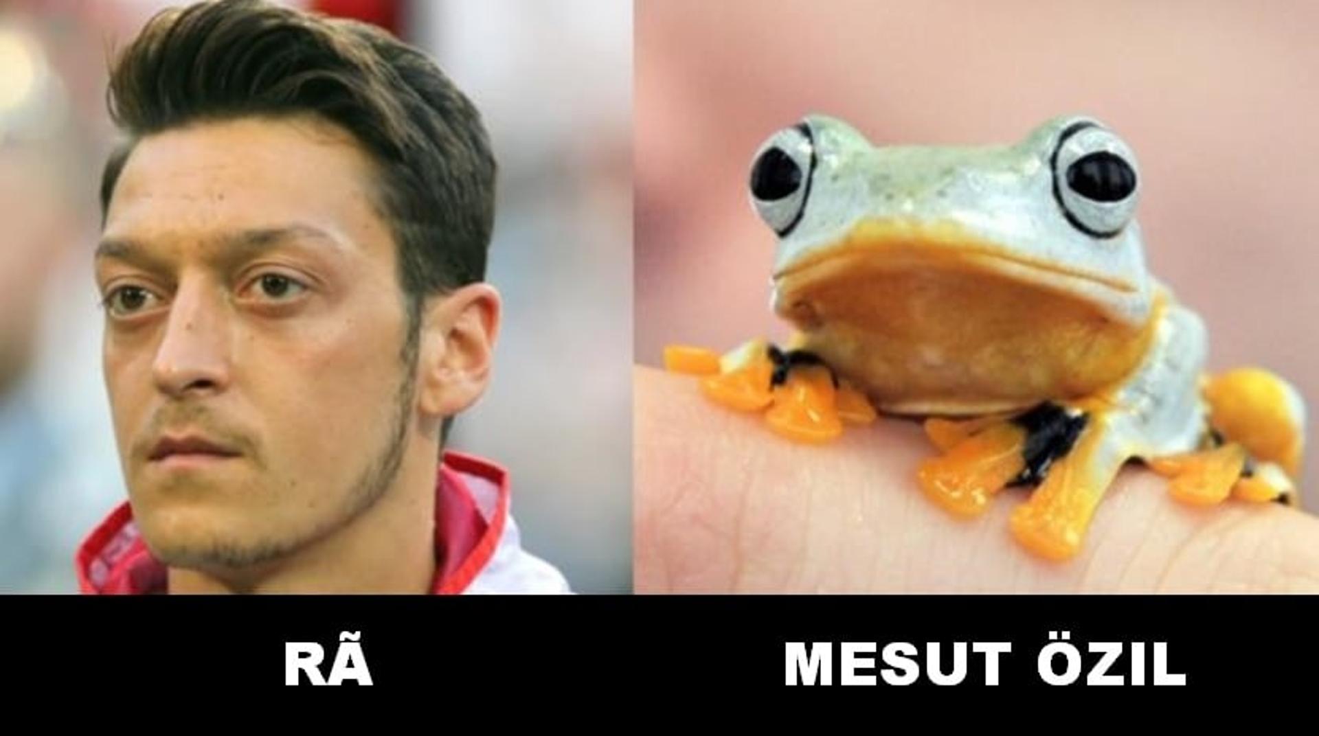 1 - Özil