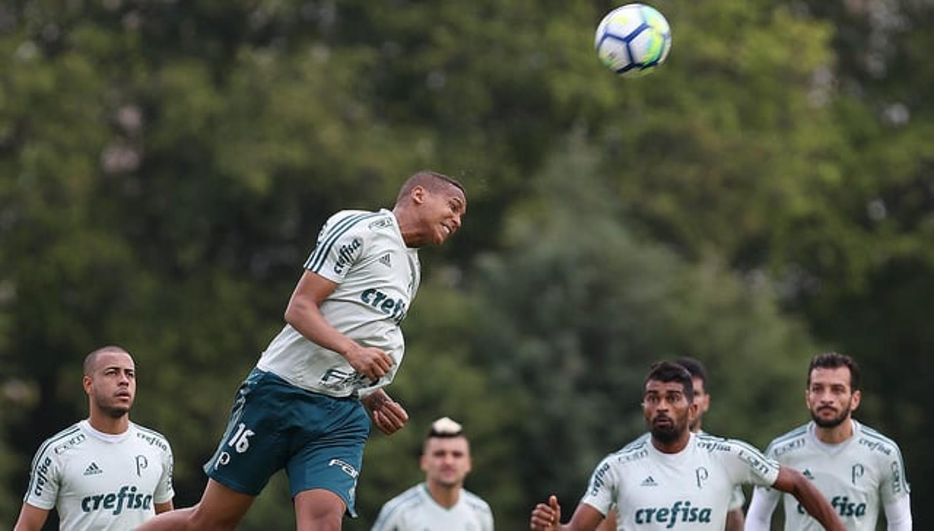 Treino - Palmeiras