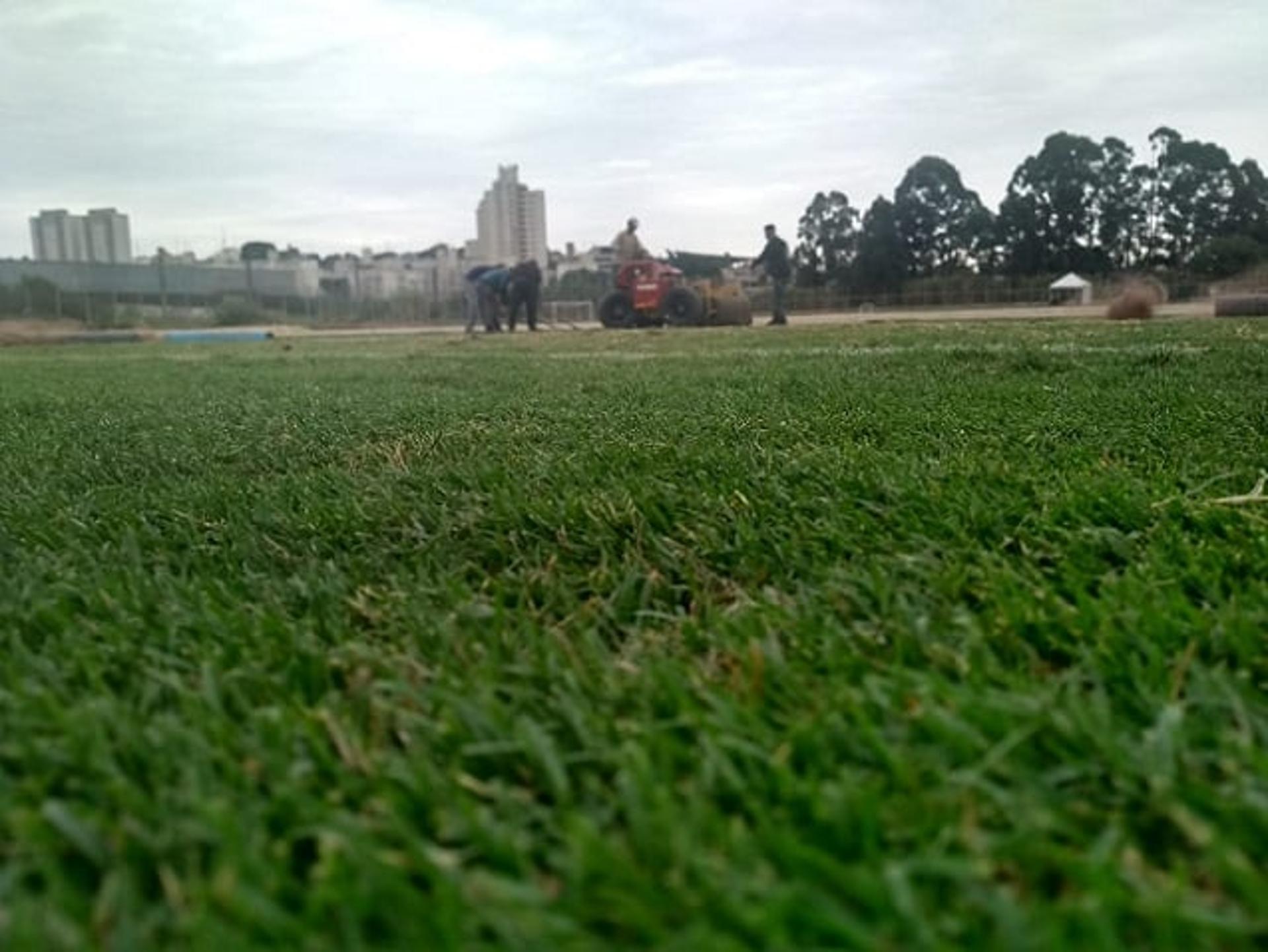 Gramado foi instalado nesta semana