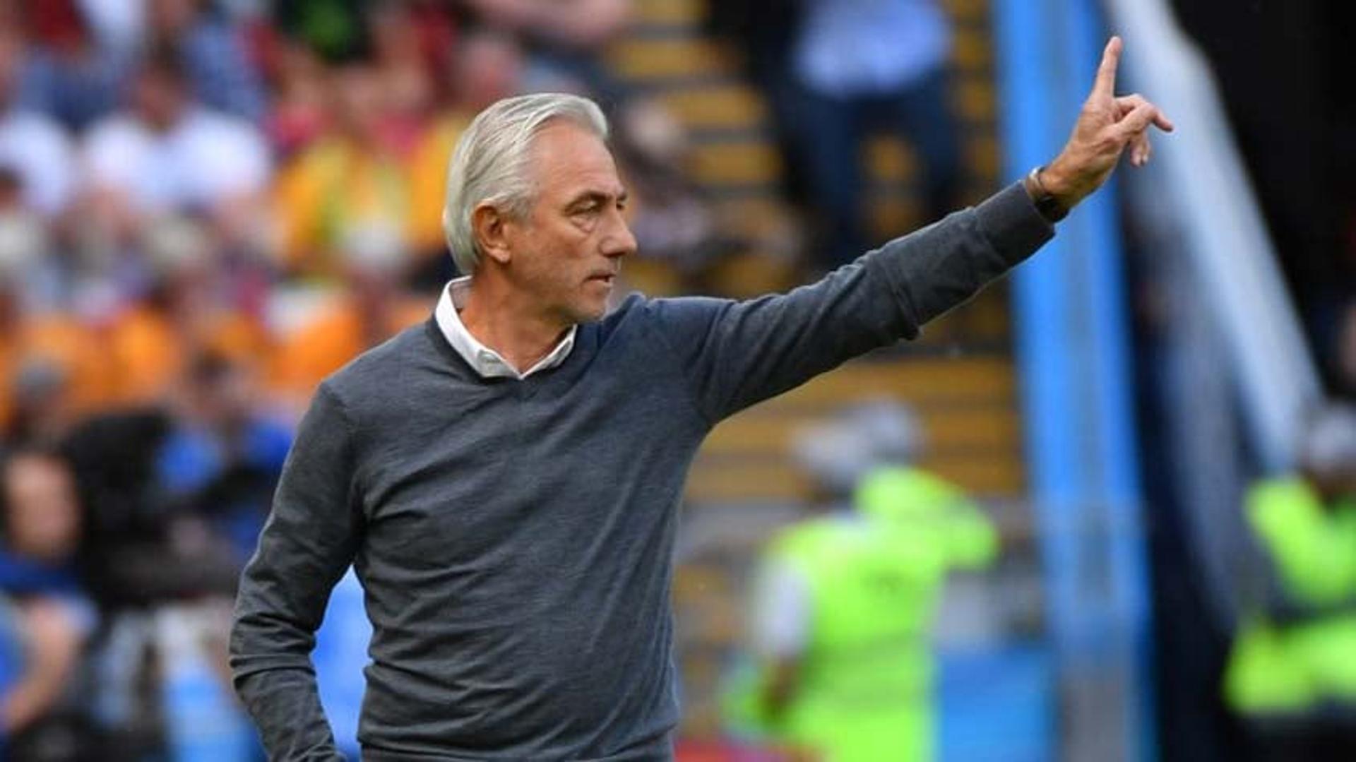 Bert van Marwijk