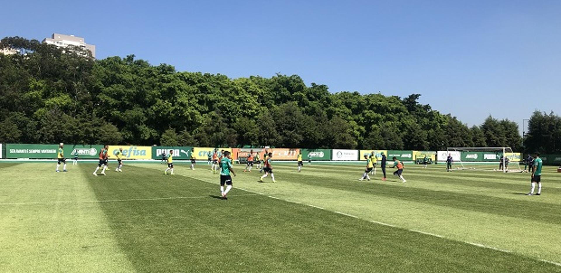 Treino - Palmeiras