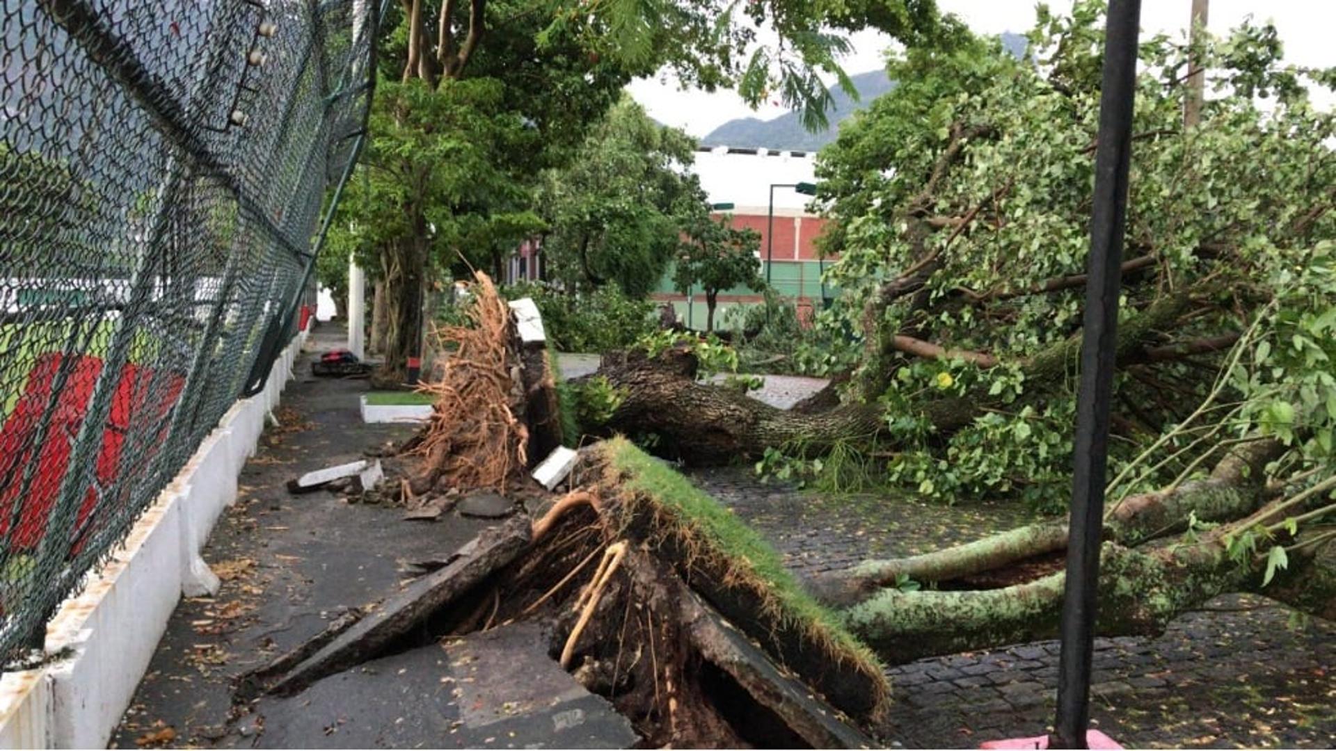 A forte chuva no Rio de Janeiro, na noite da última quarta-feira, mudou a rotina na sede do Flamengo, que fica na Gávea, zona sul da cidade. Com quedas de árvores e alagamentos, o local foi interditado na manhã desta quinta-feira. Veja as fotos na galeria.