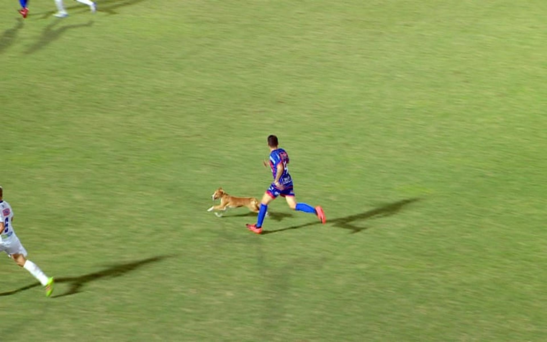 Cachorro invade campo no campeonato amazonense