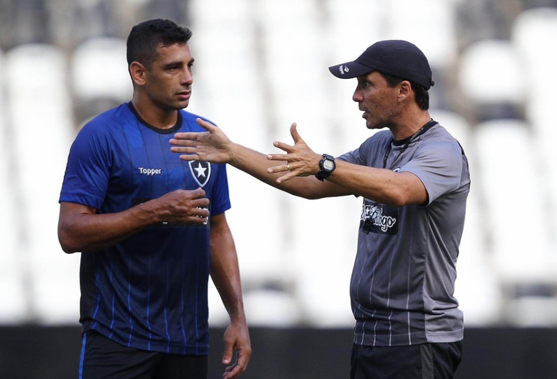 Zé Ricardo e Diego Souza - Botafogo