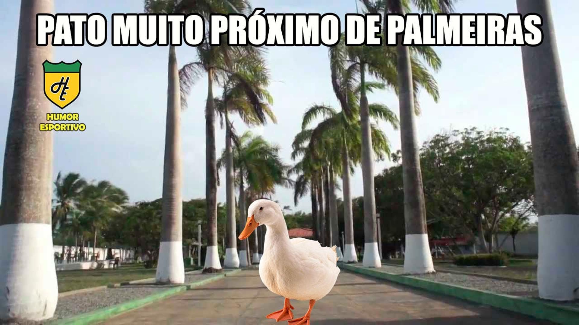 Os memes do retorno de Alexandre Pato ao Tricolor