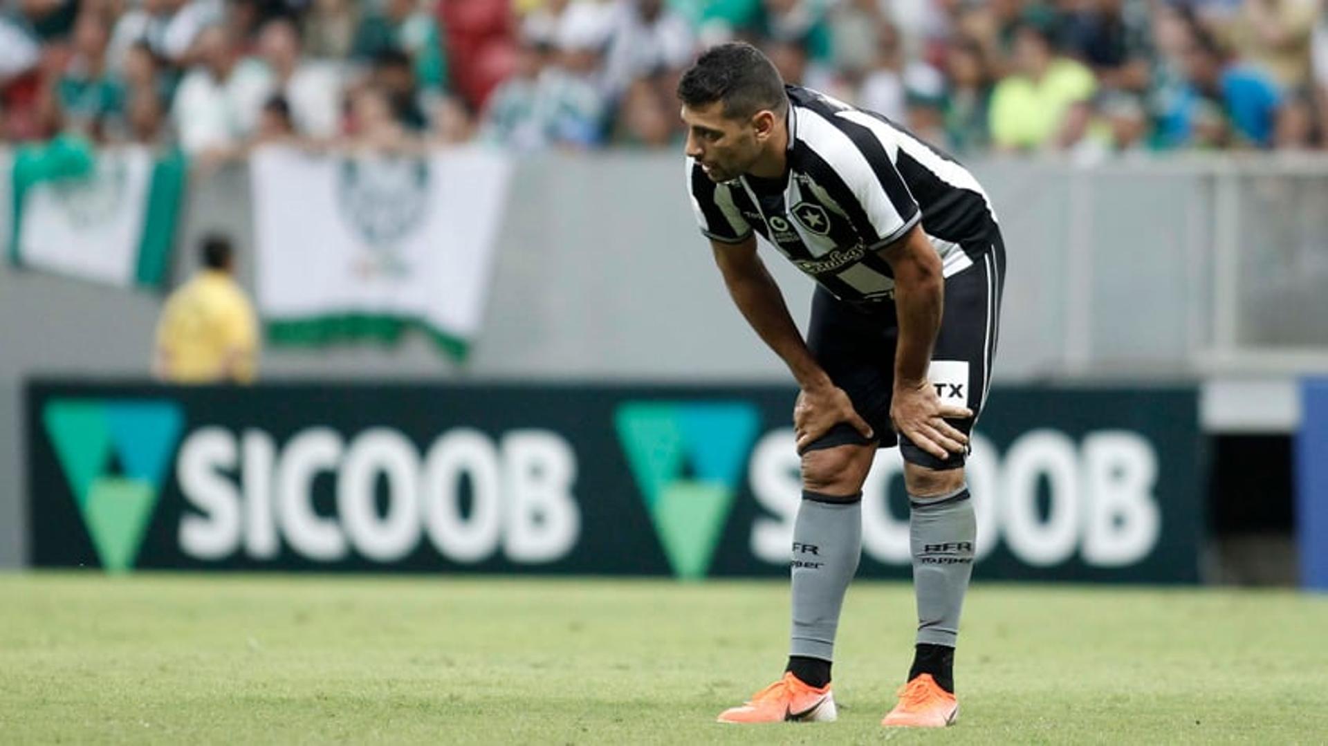 Botafogo x Palmeiras Diego Souza