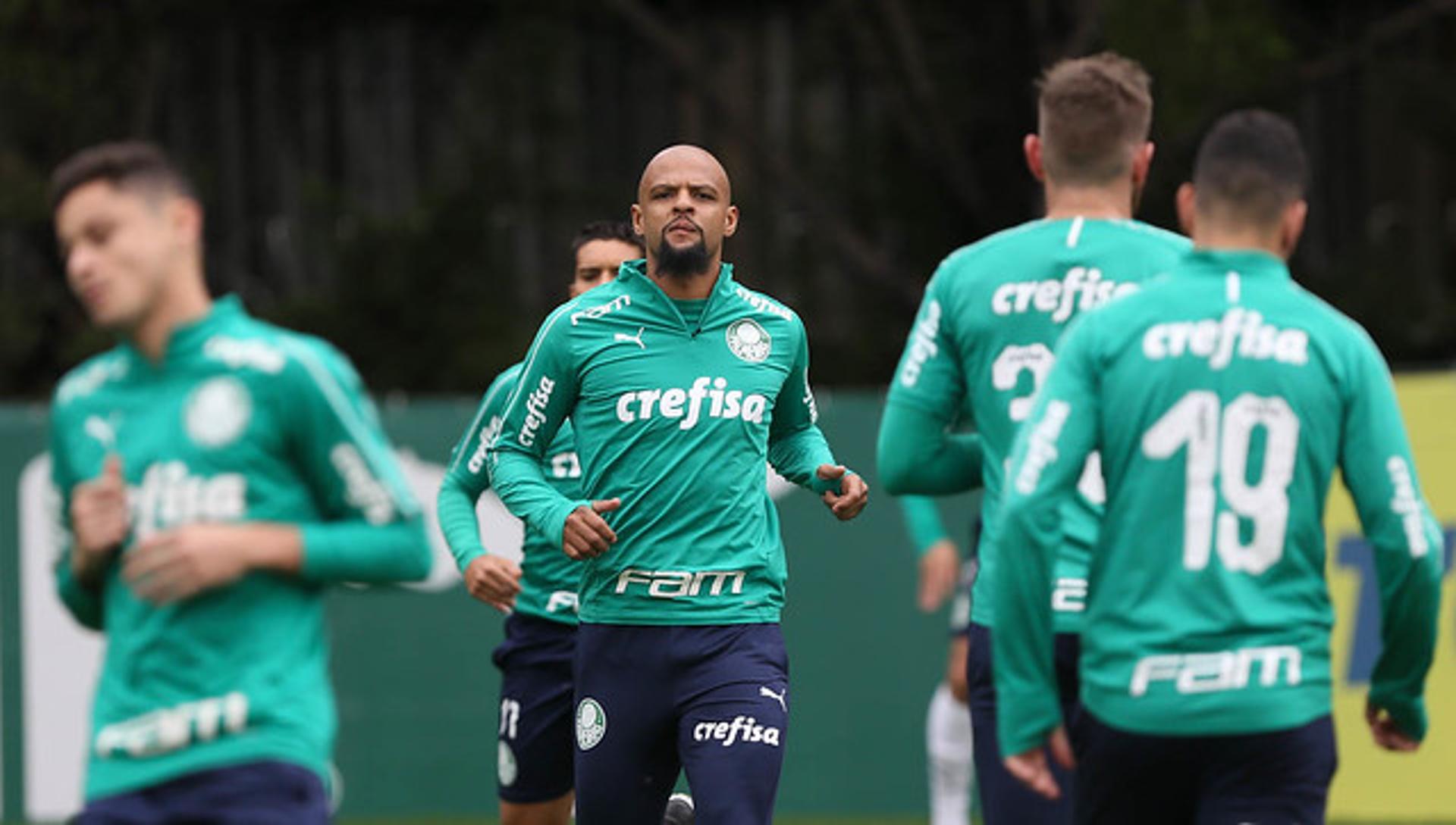 Palmeiras treino