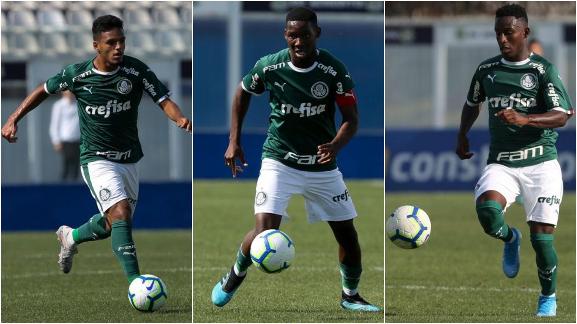 Montagem - Palmeiras