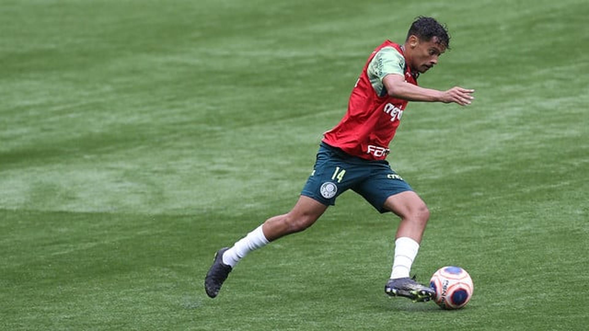 Gustavo Scarpa Palmeiras