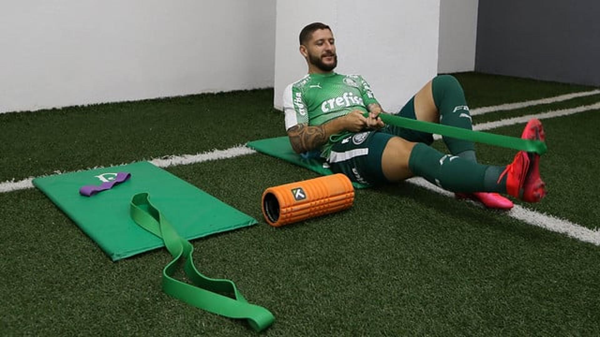 Zé Rafael Palmeiras