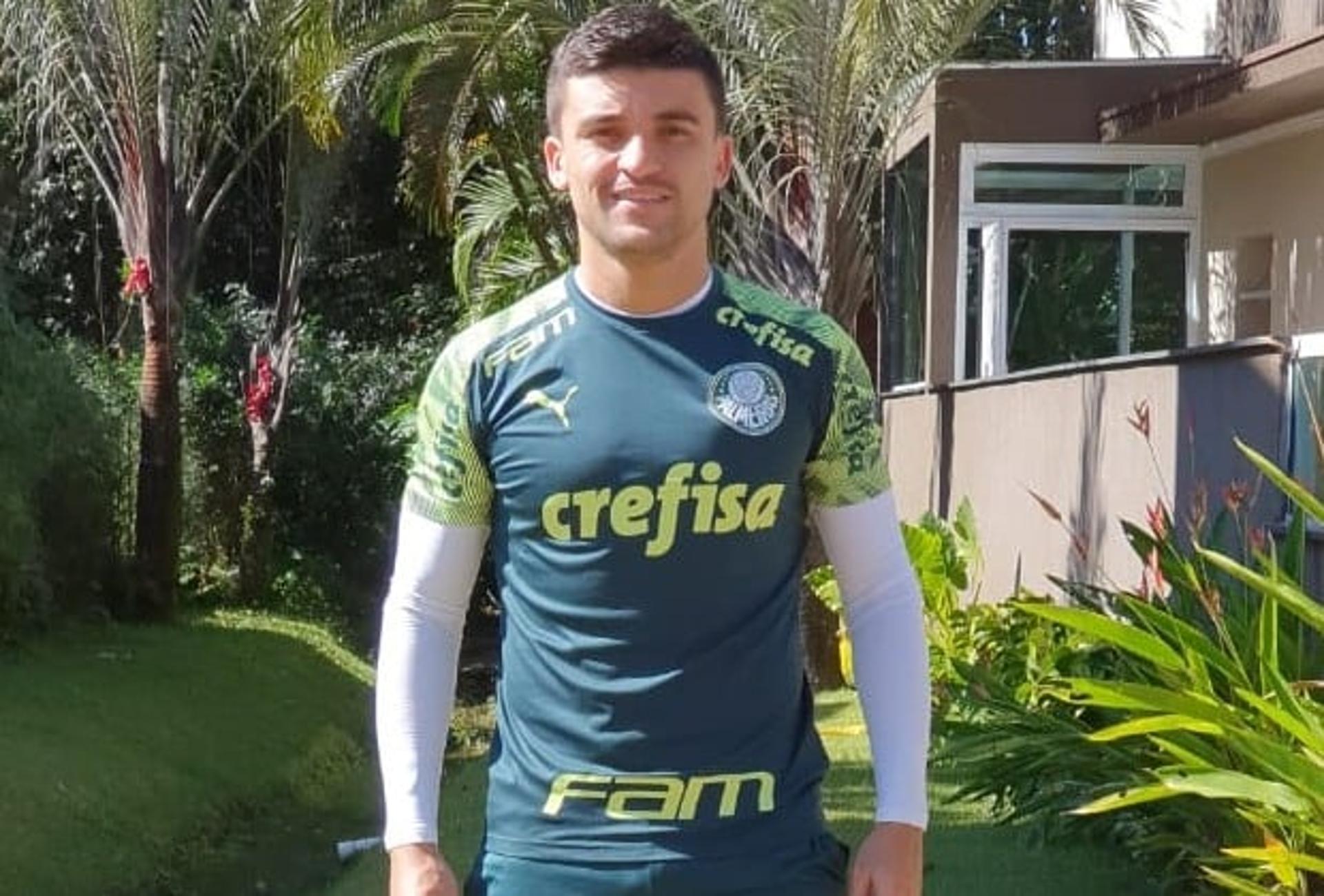 Victor Luis Palmeiras