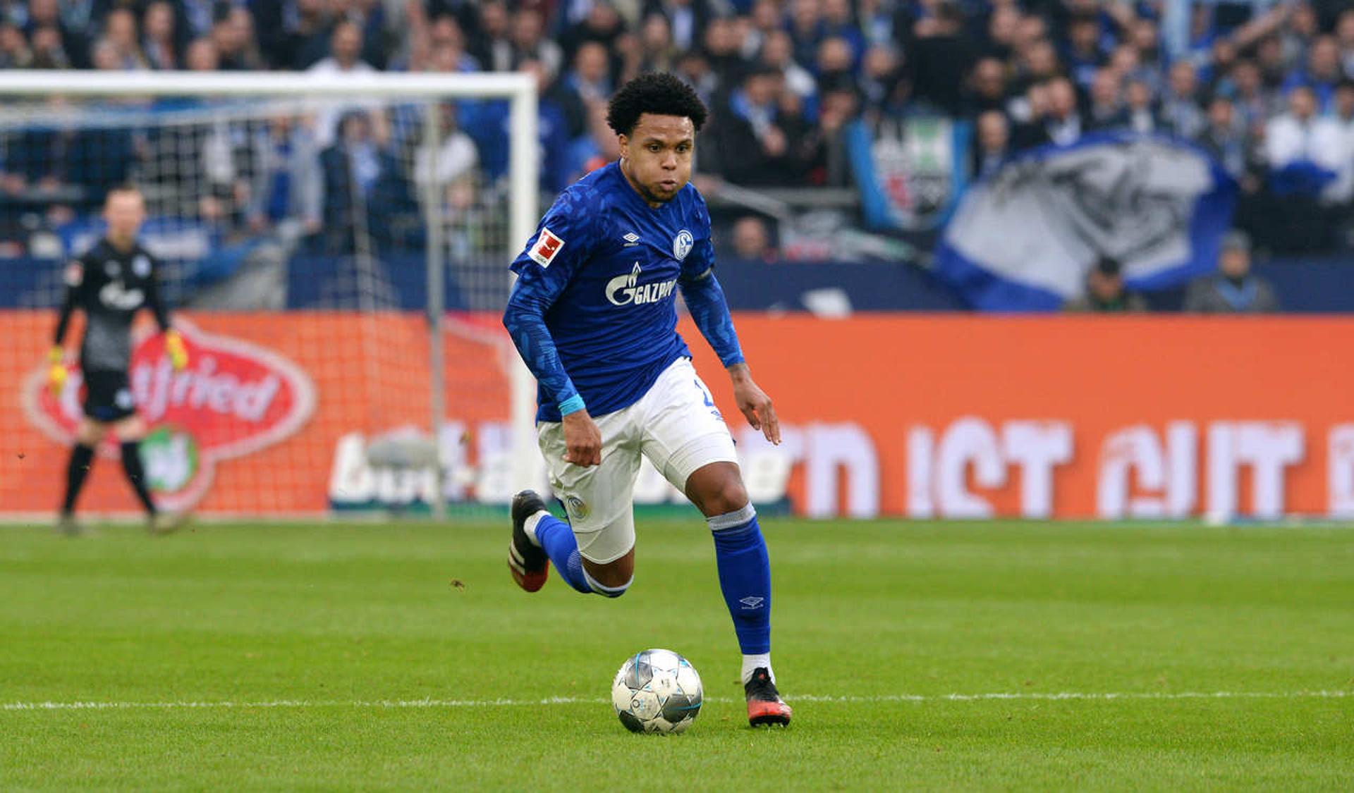 Weston McKennie - Schalke 04