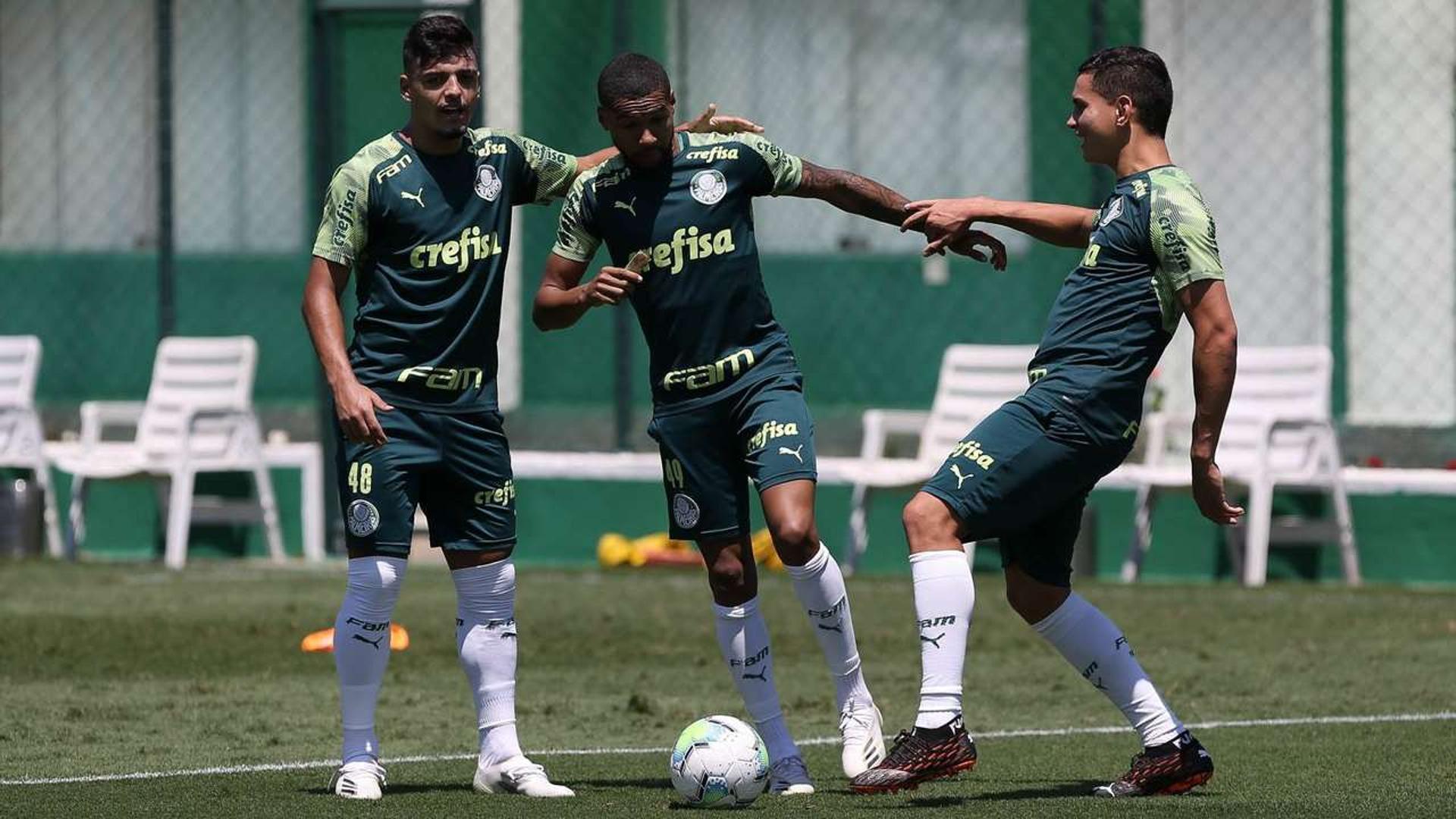 Wesley Gabriel Menino Palmeiras