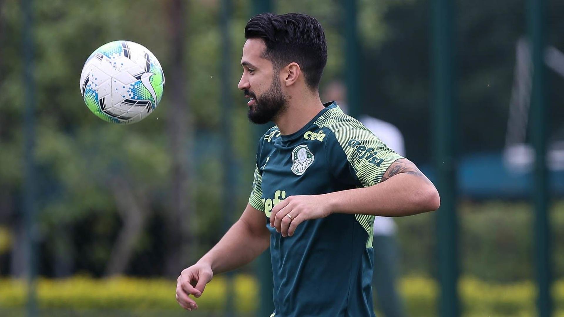 Luan Palmeiras