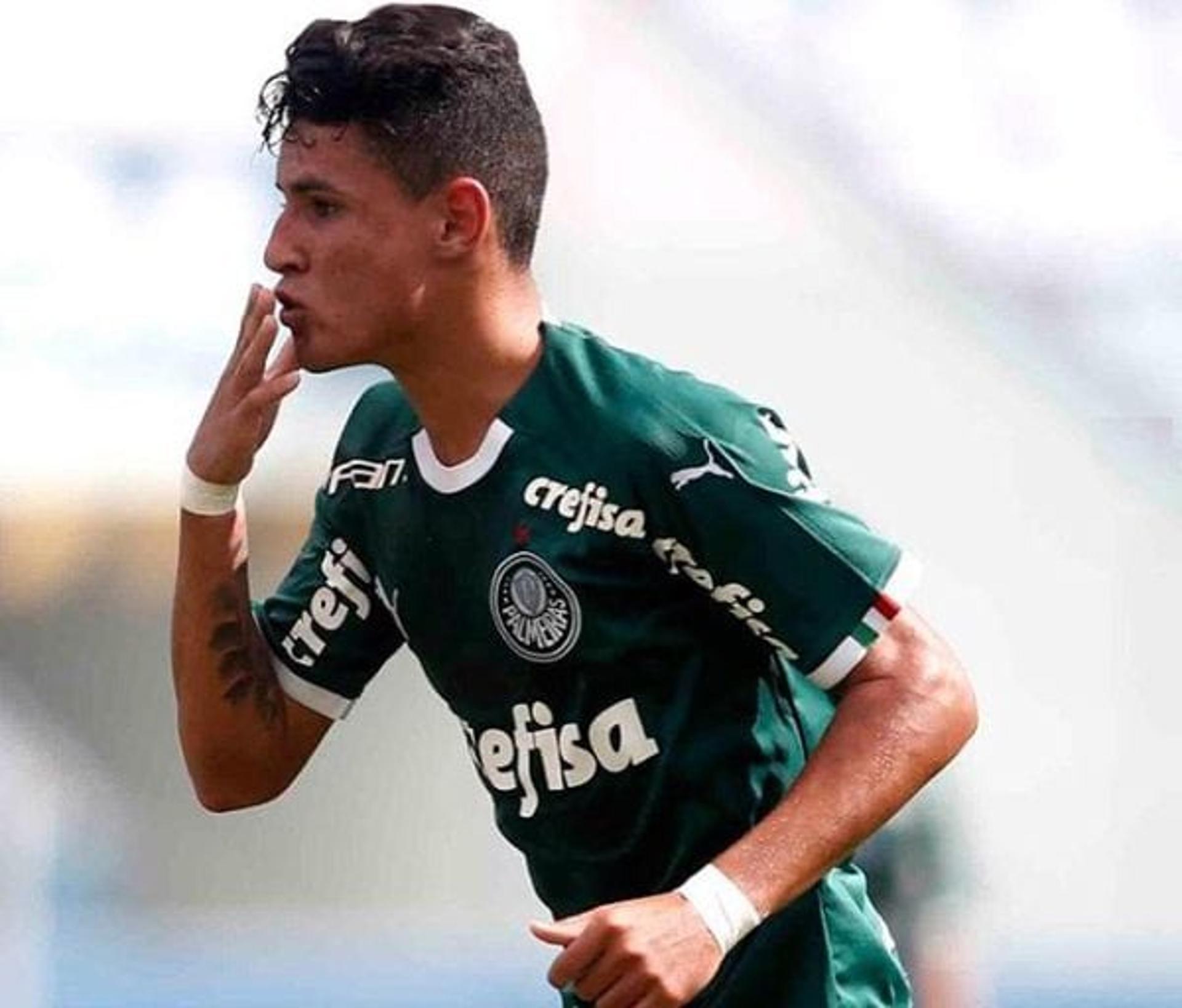 Victor Henrique Palmeiras