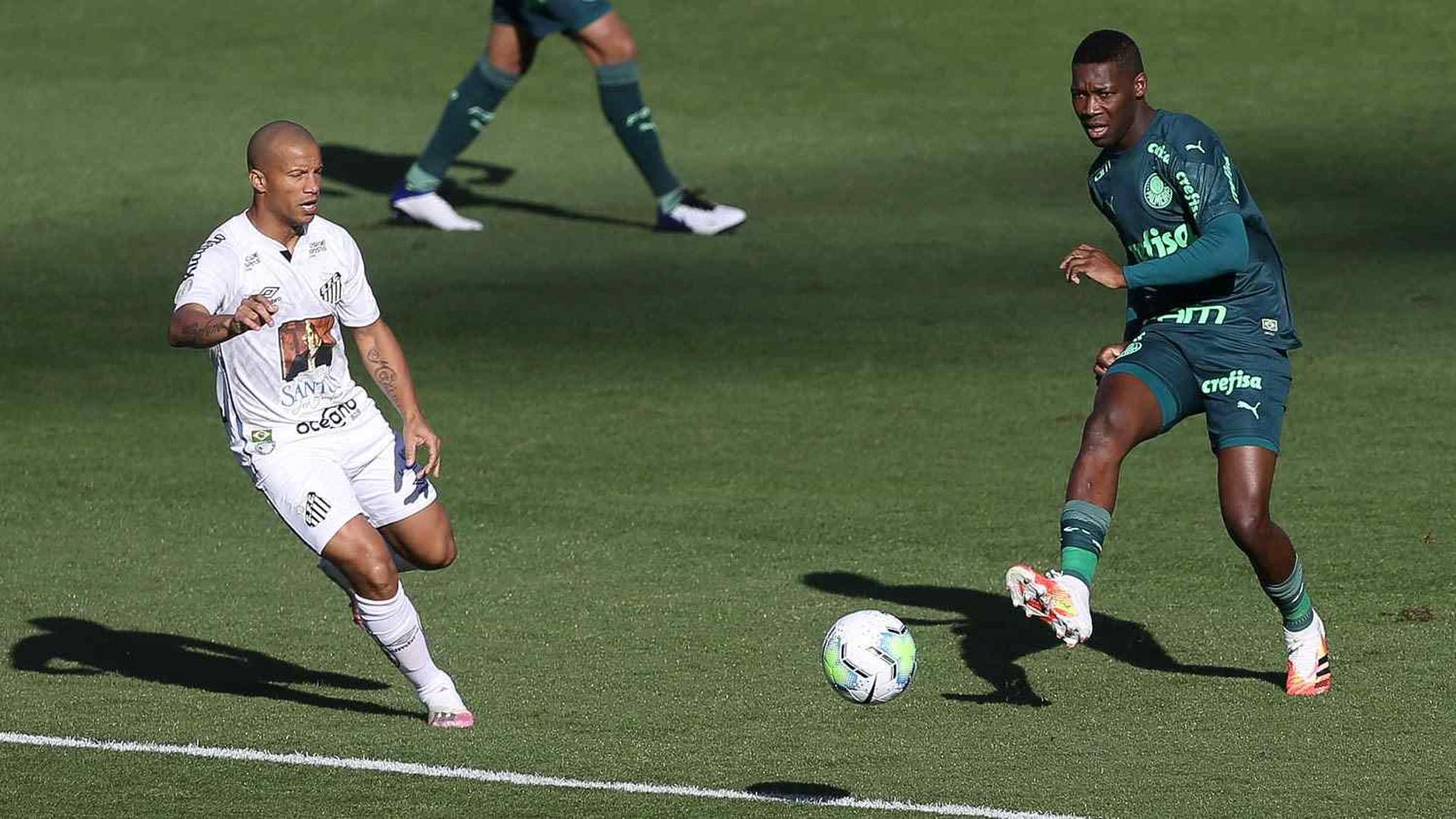 Palmeiras Santos