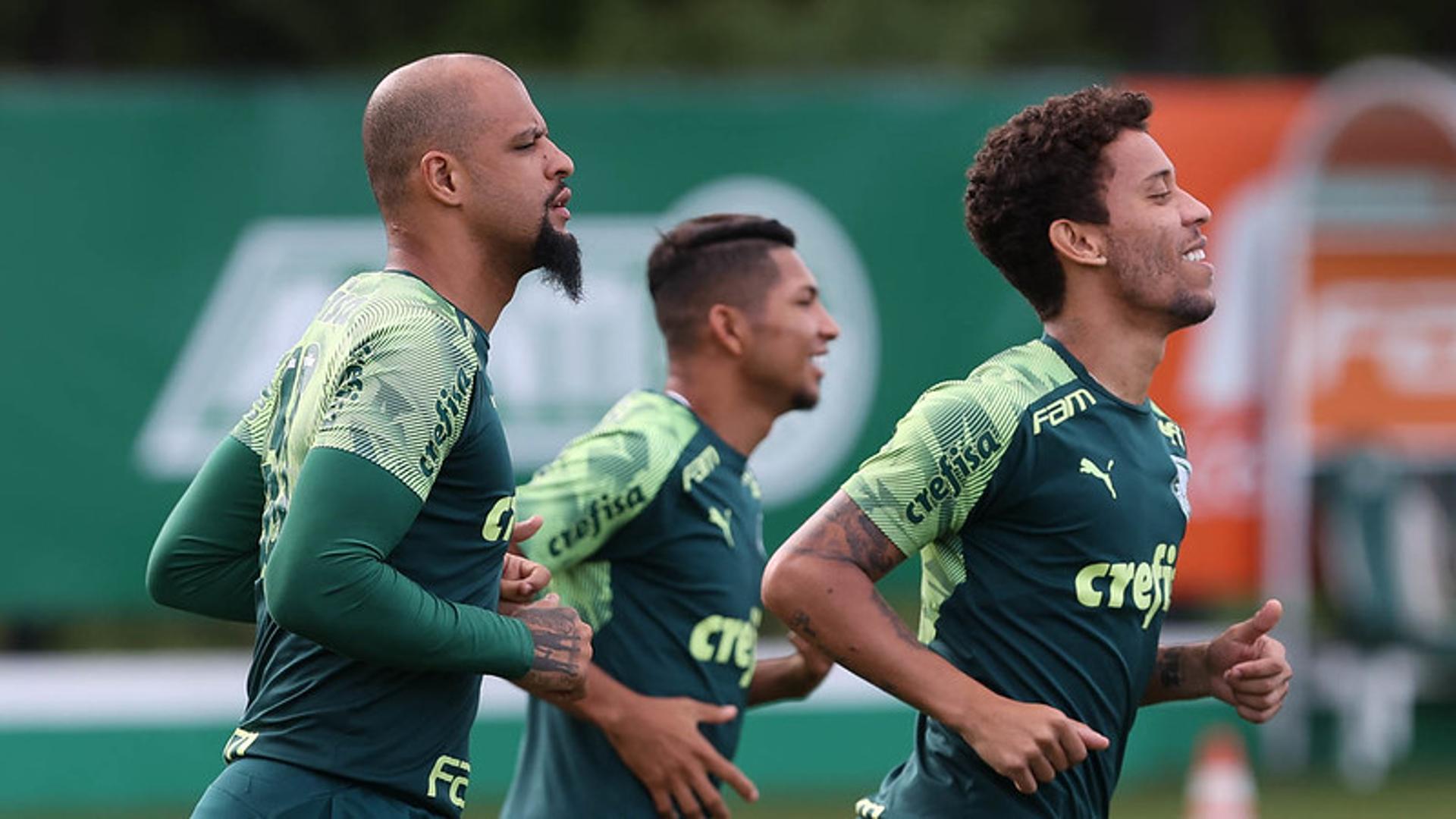 Palmeiras treino