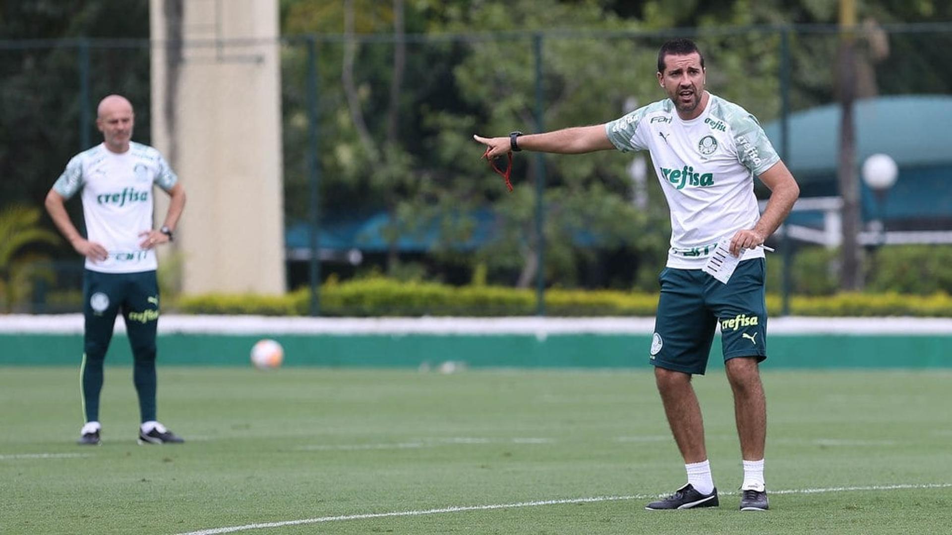 Auxiliares Palmeiras