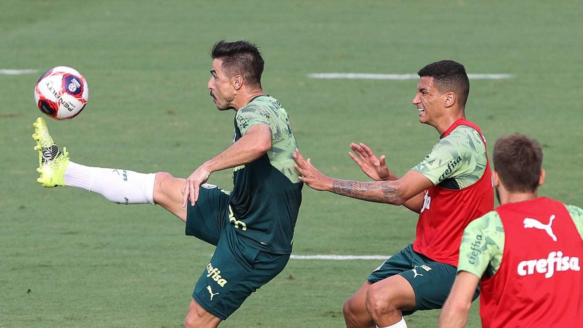 Treino Palmeiras