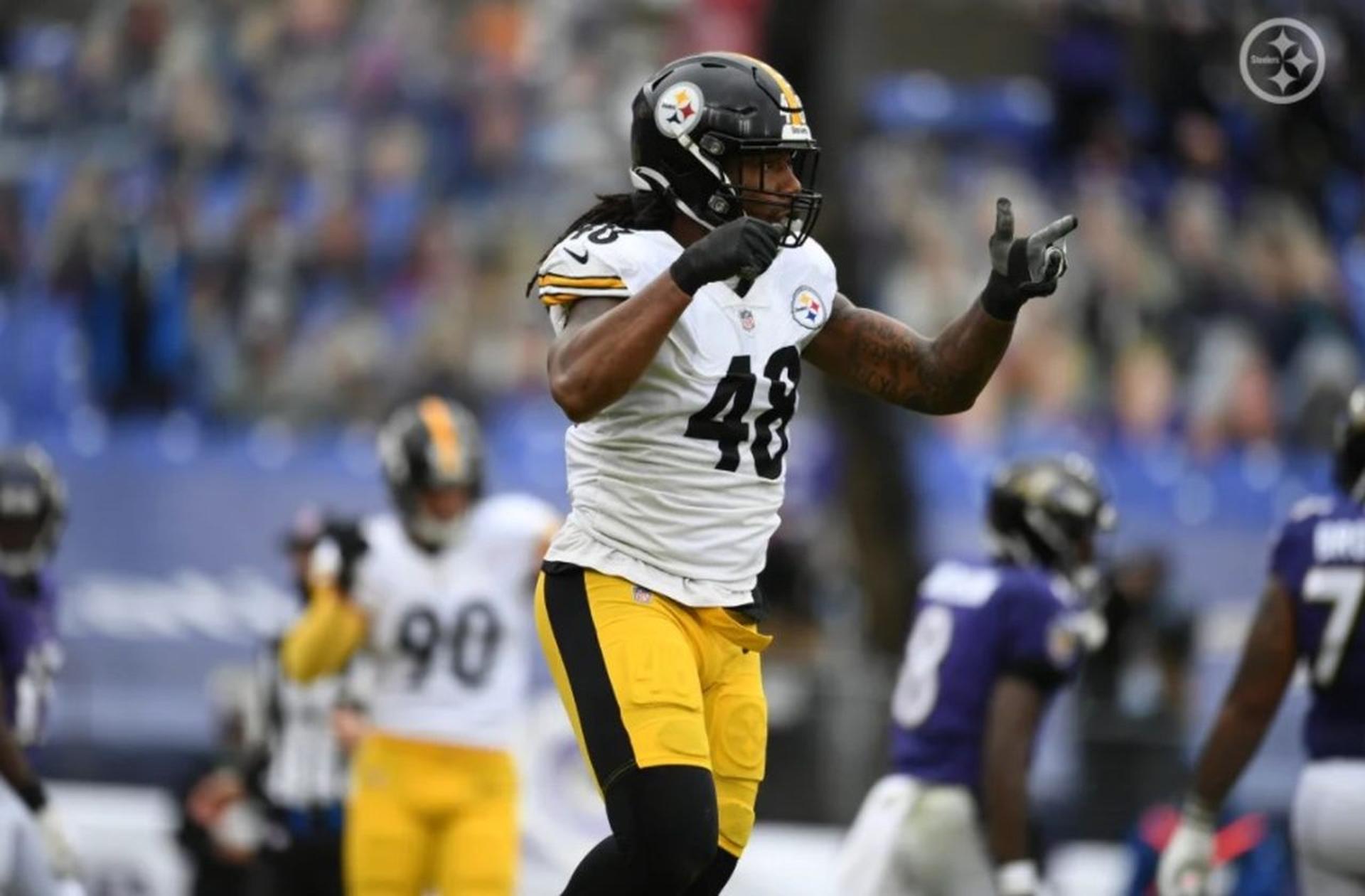 pittsburgh steelers bud dupree