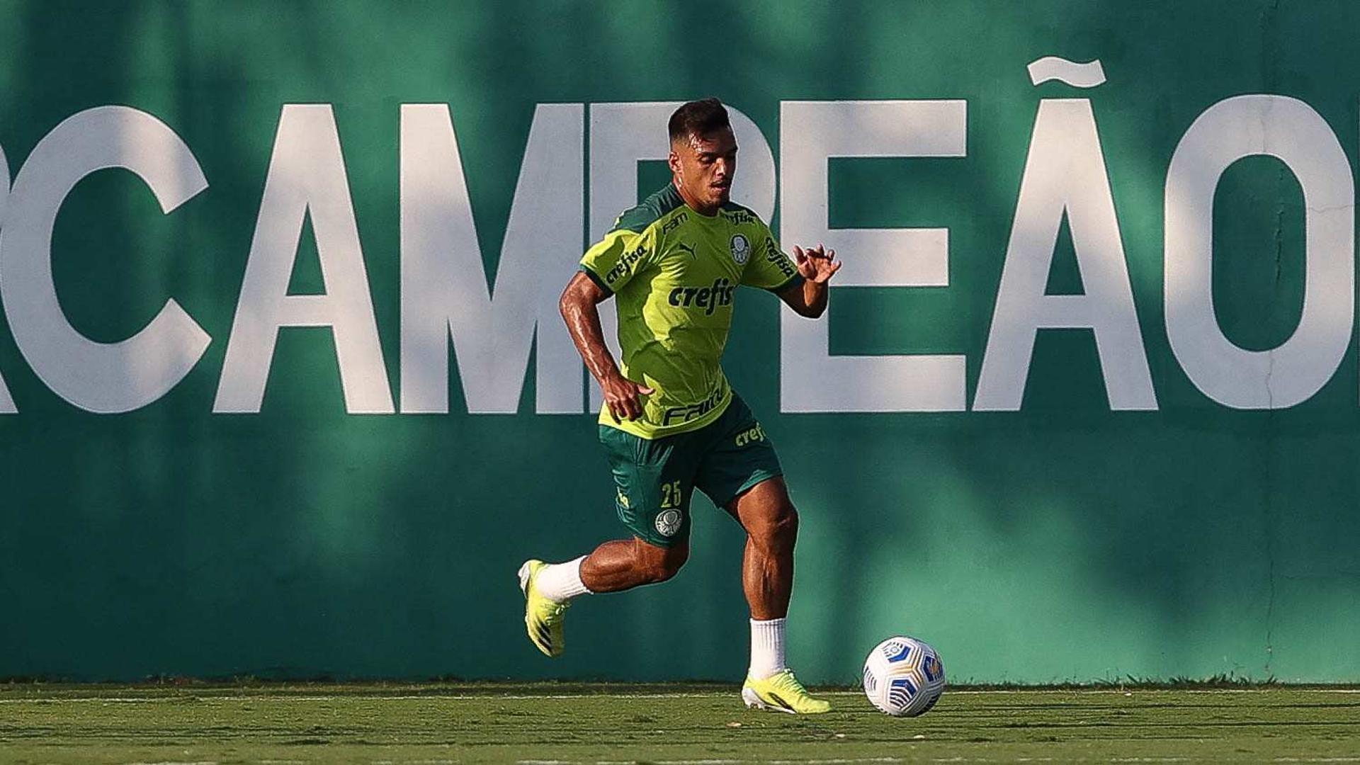 Gabriel Menino Palmeiras