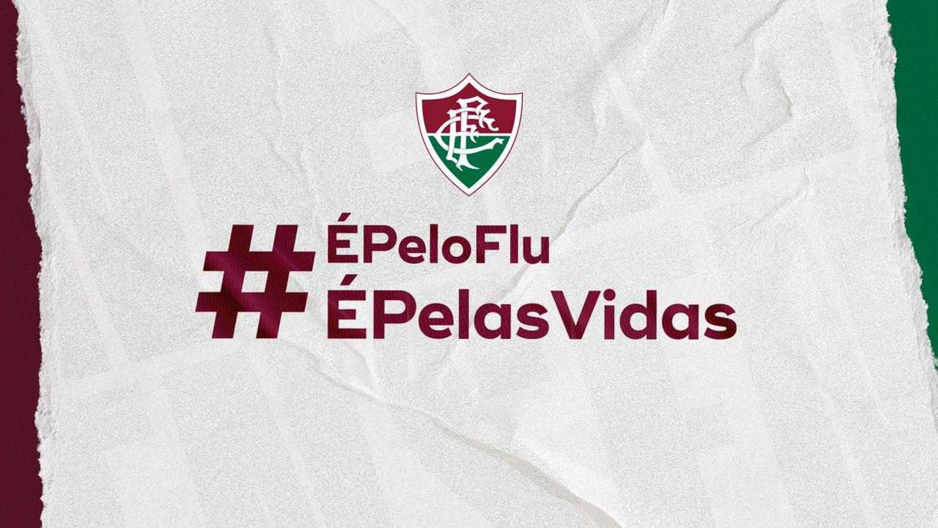 Fluminense campanha