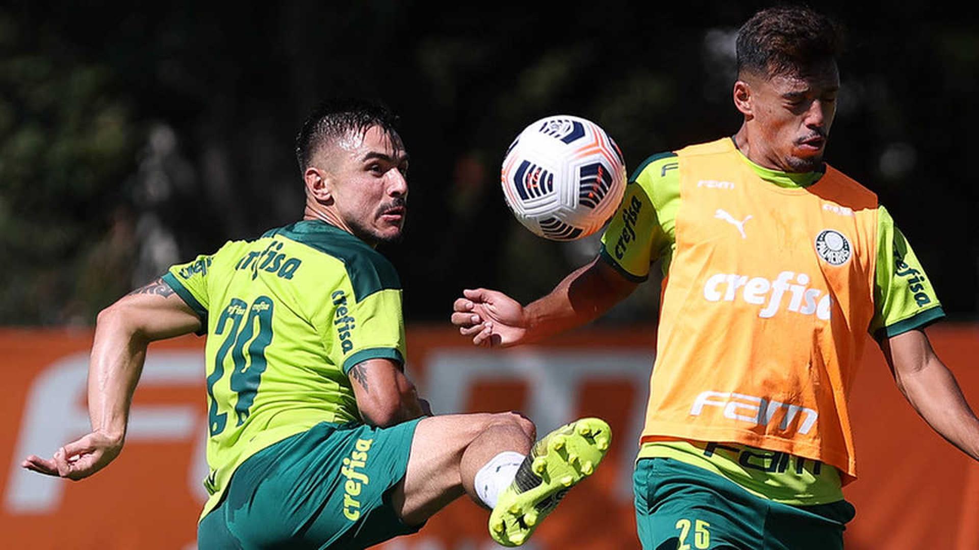 Palmeiras treino