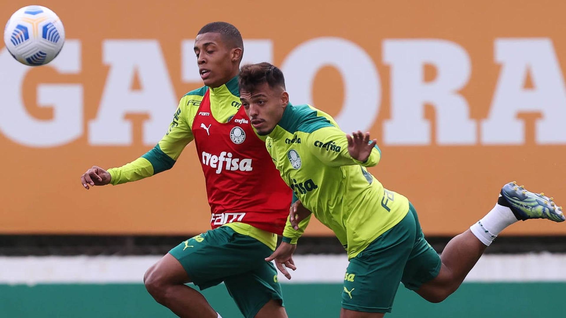 treino palmeiras