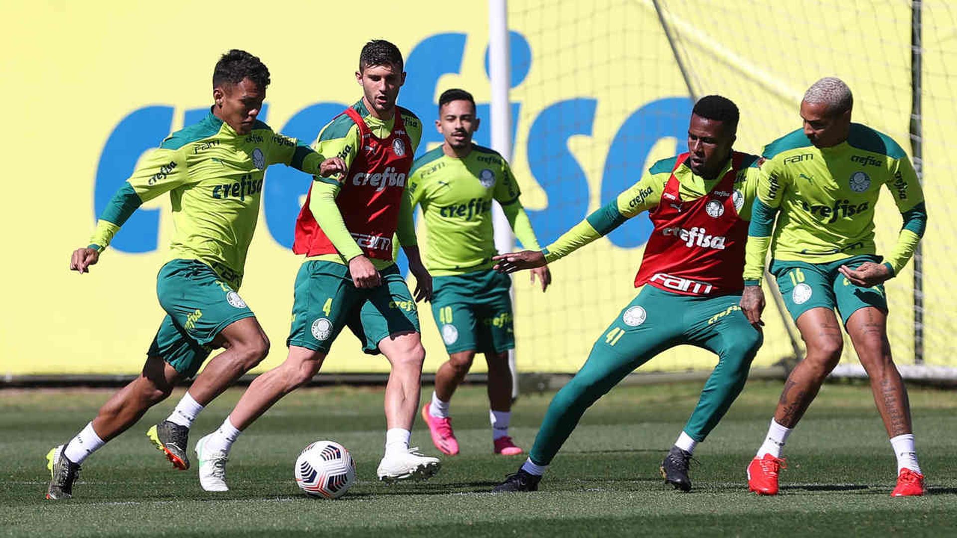 Palmeiras treino