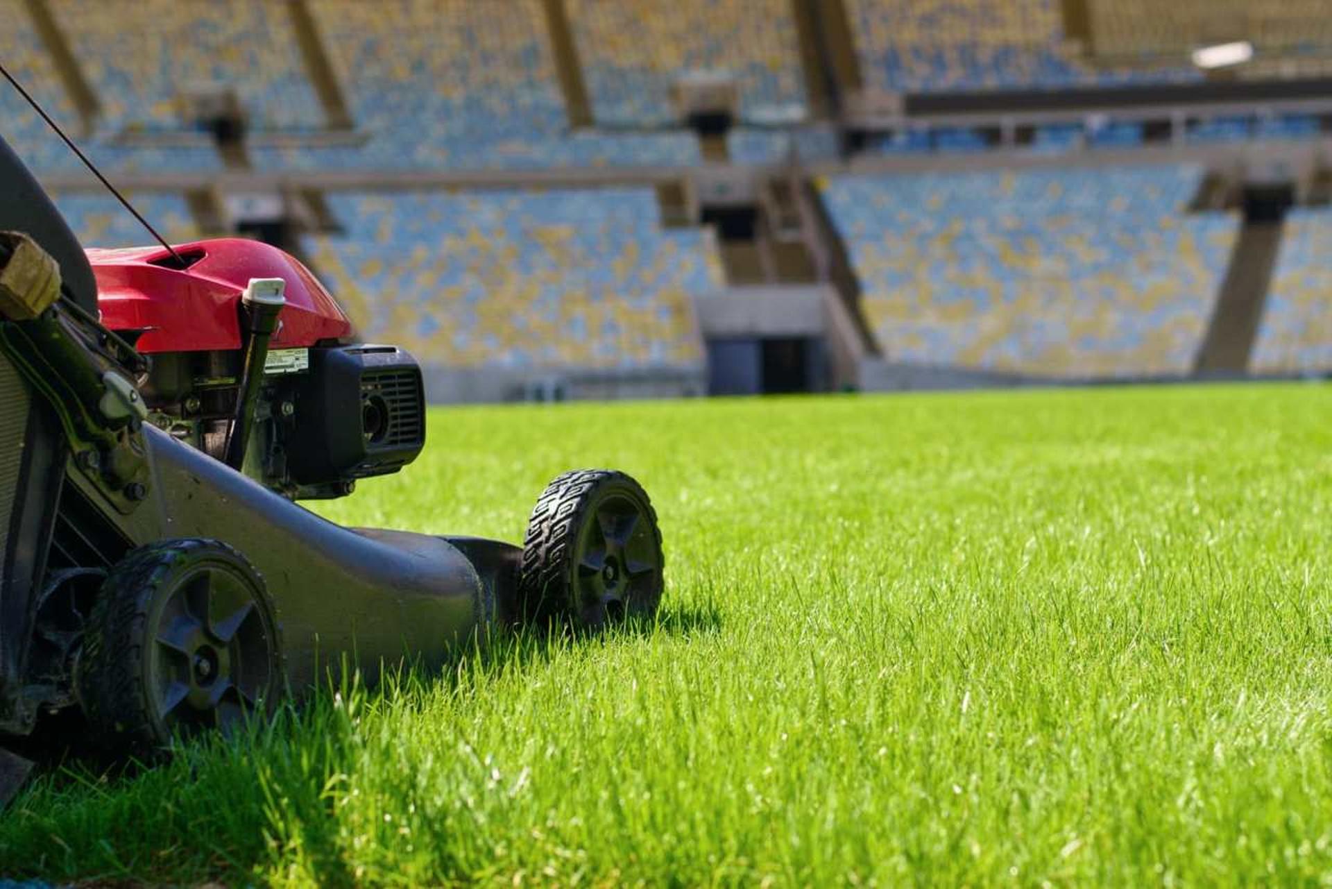 Gramado do Maracanã