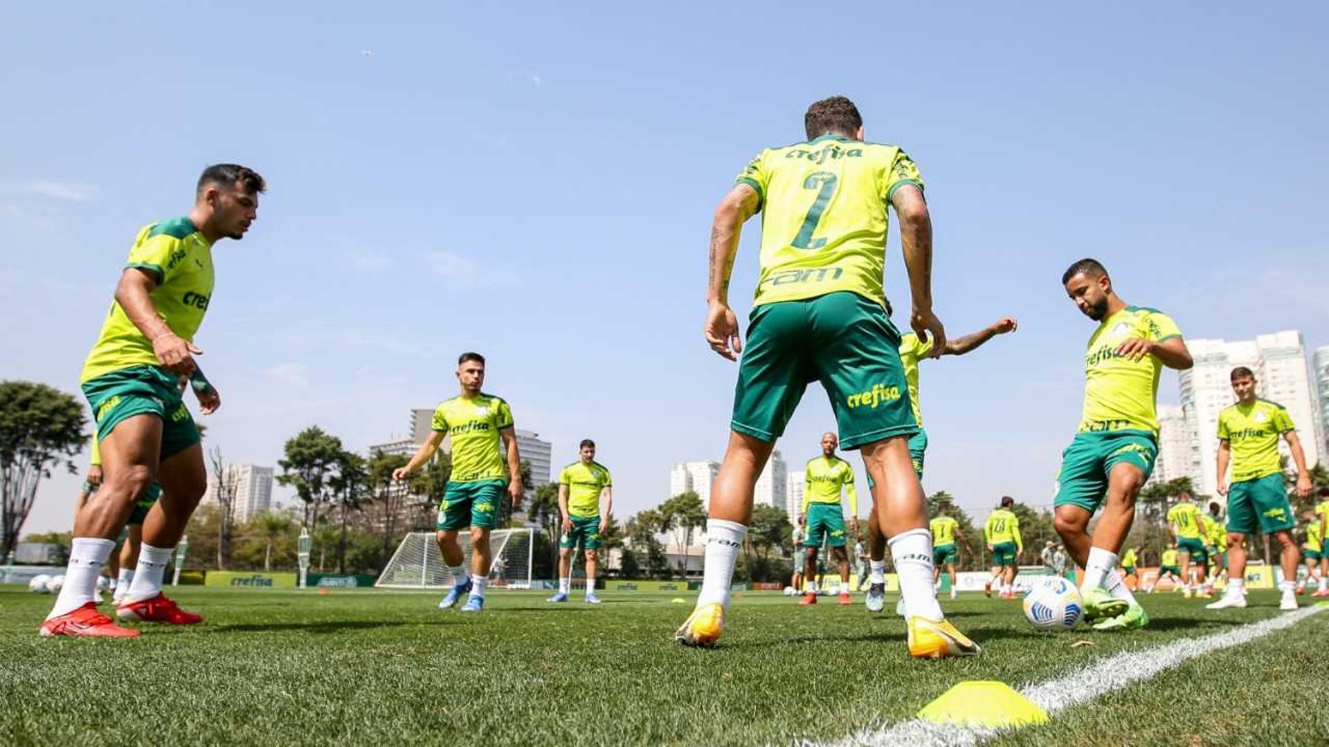 Palmeiras treino