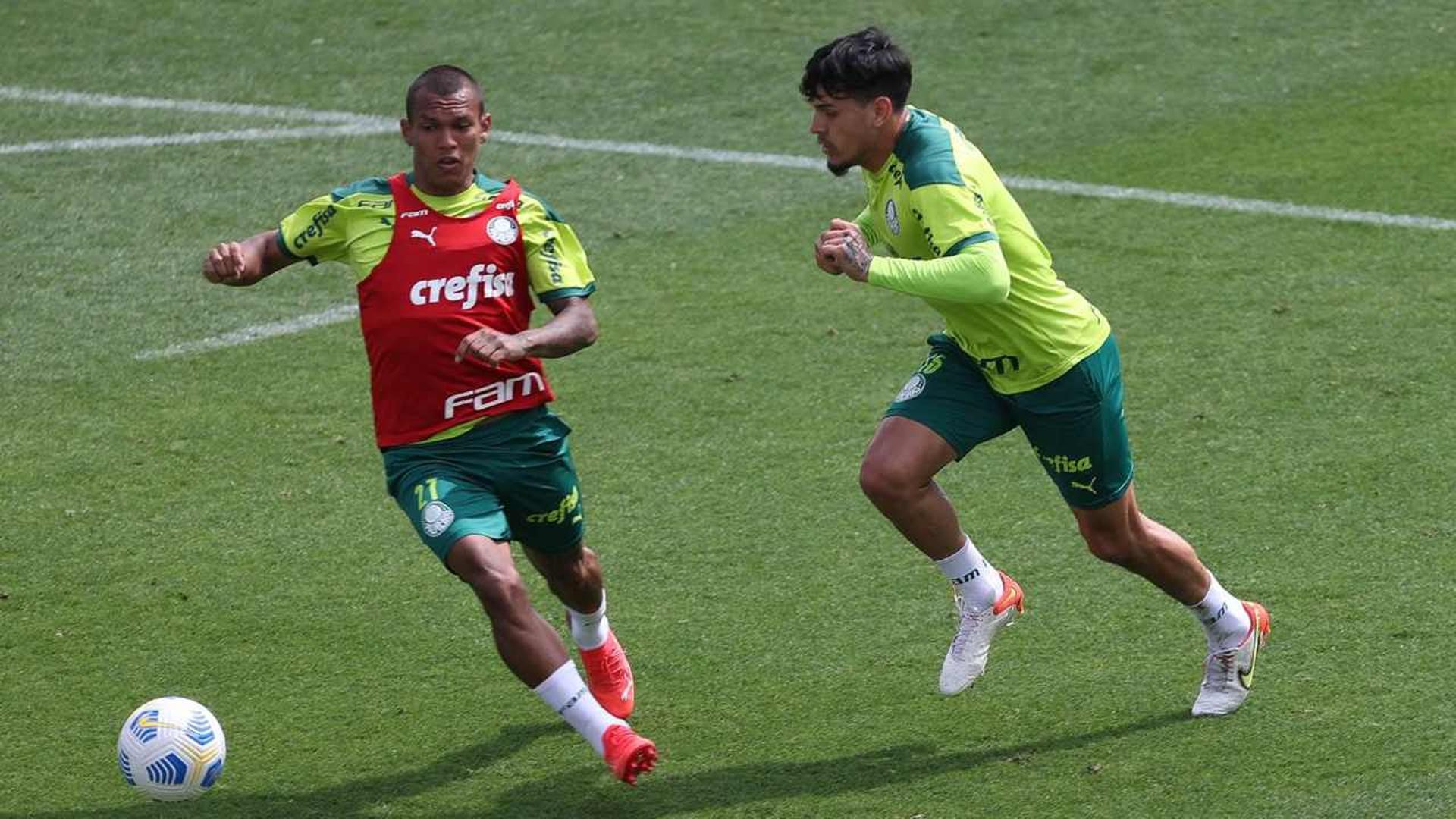 Palmeiras treino