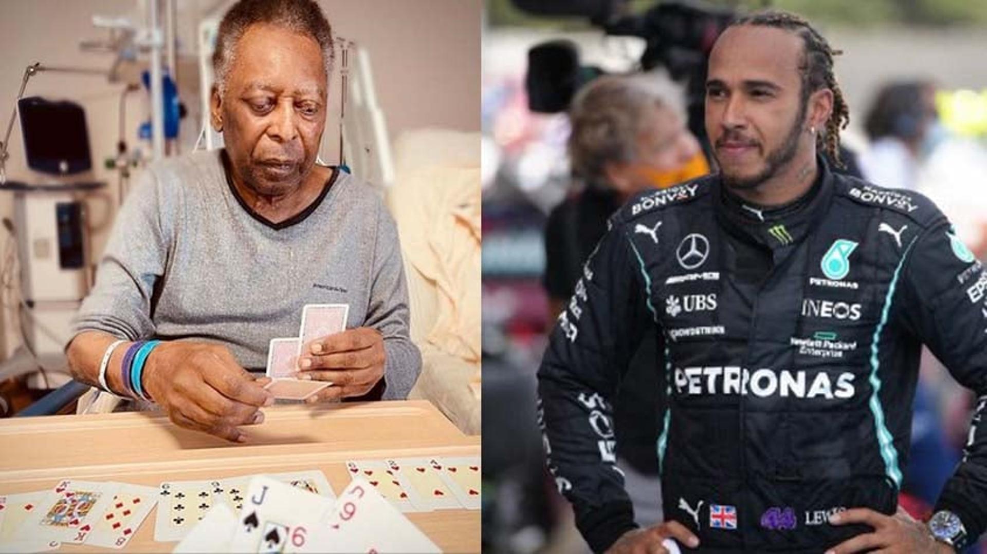 Montagem Pele Hamilton